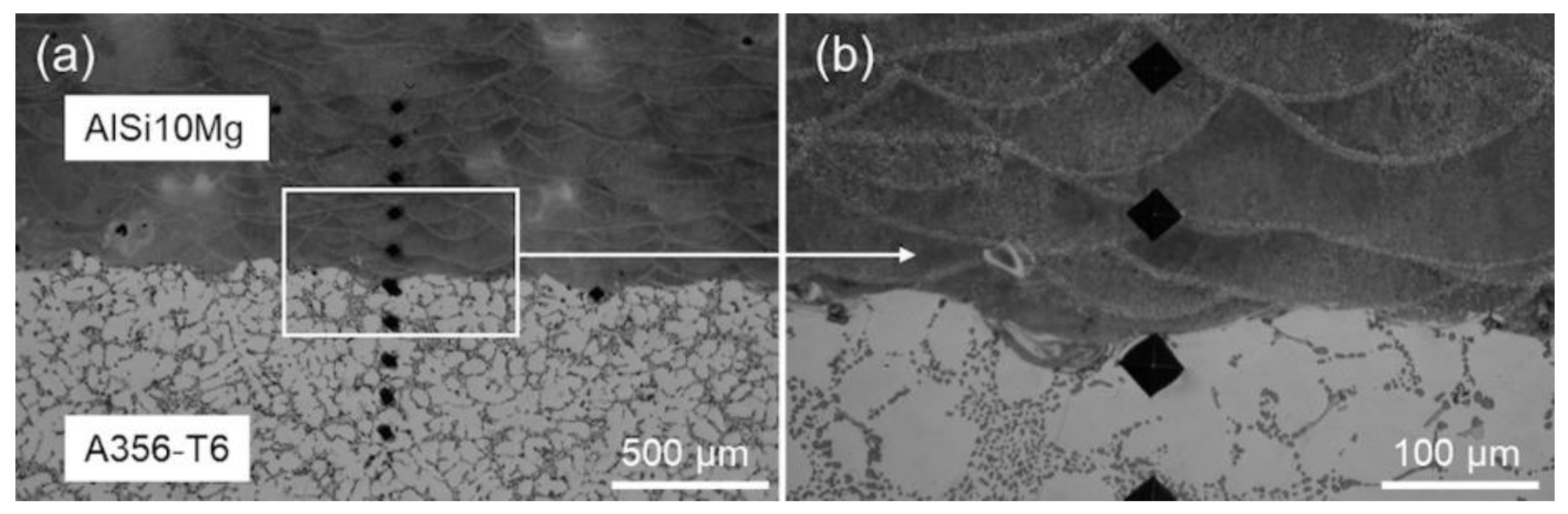 Metals 11 00522 g007