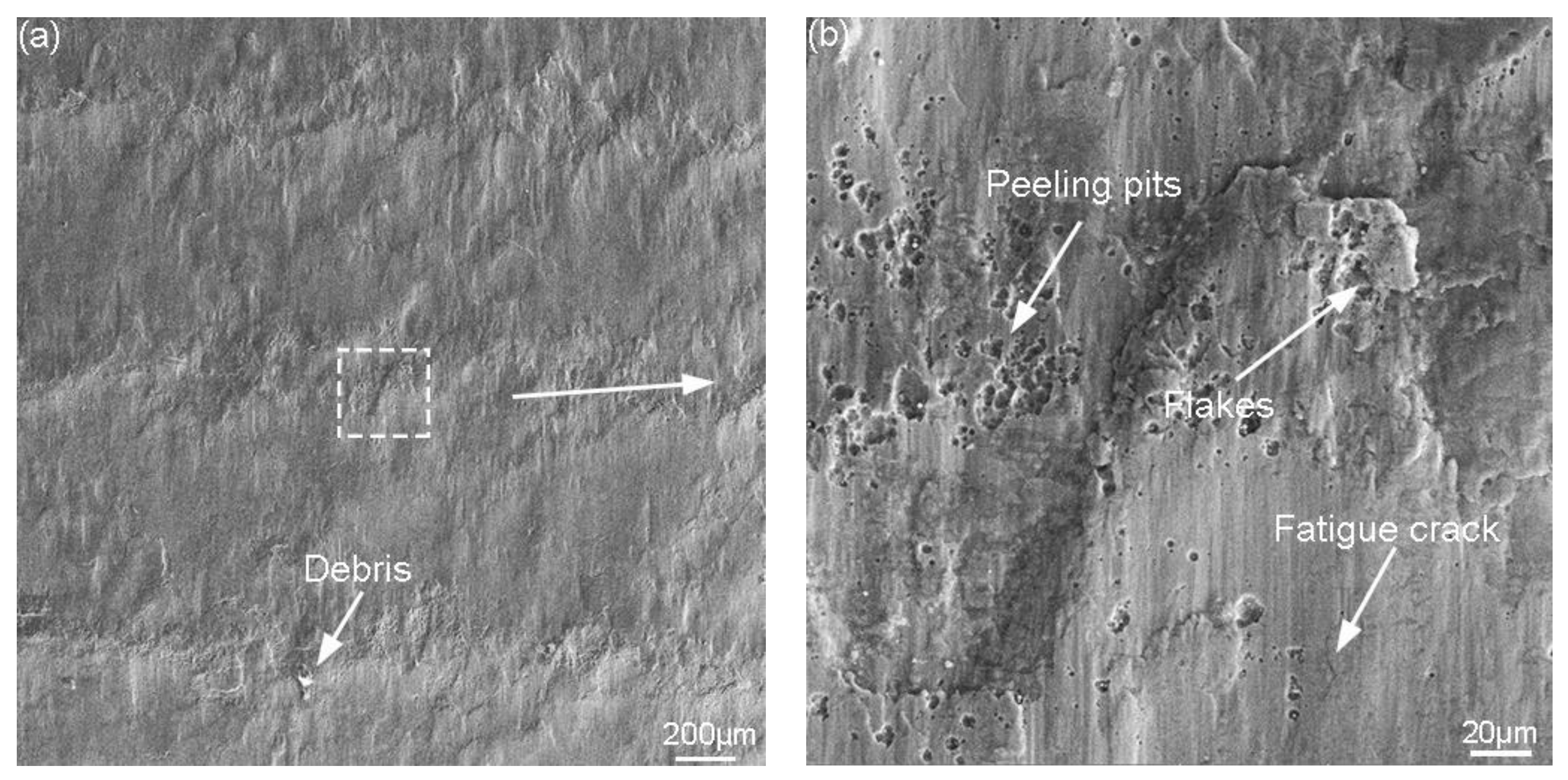 Metals 11 01478 g003