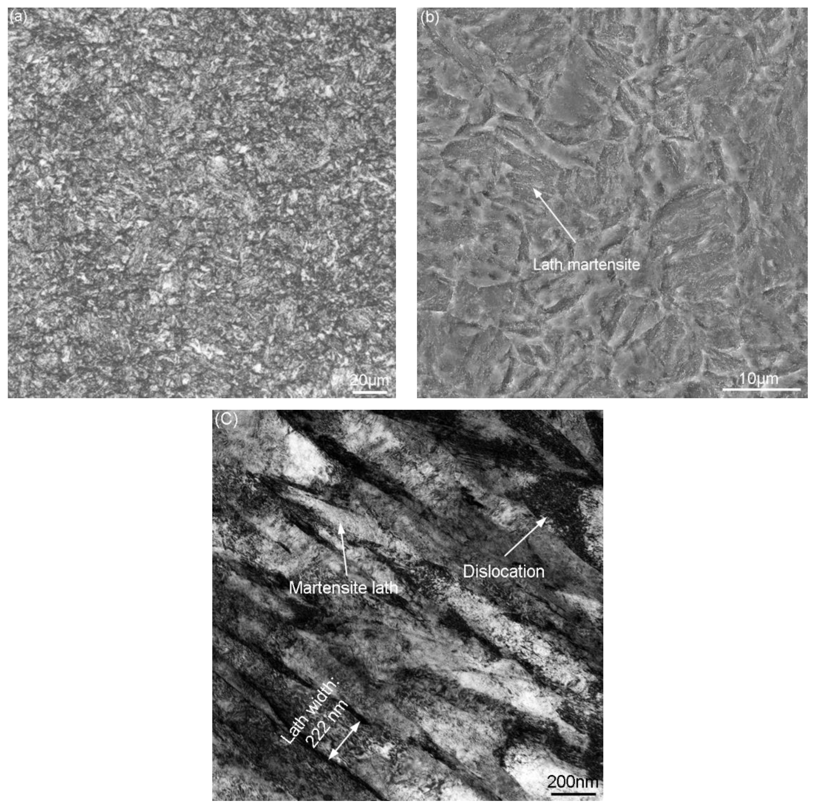 Metals 11 01478 g004