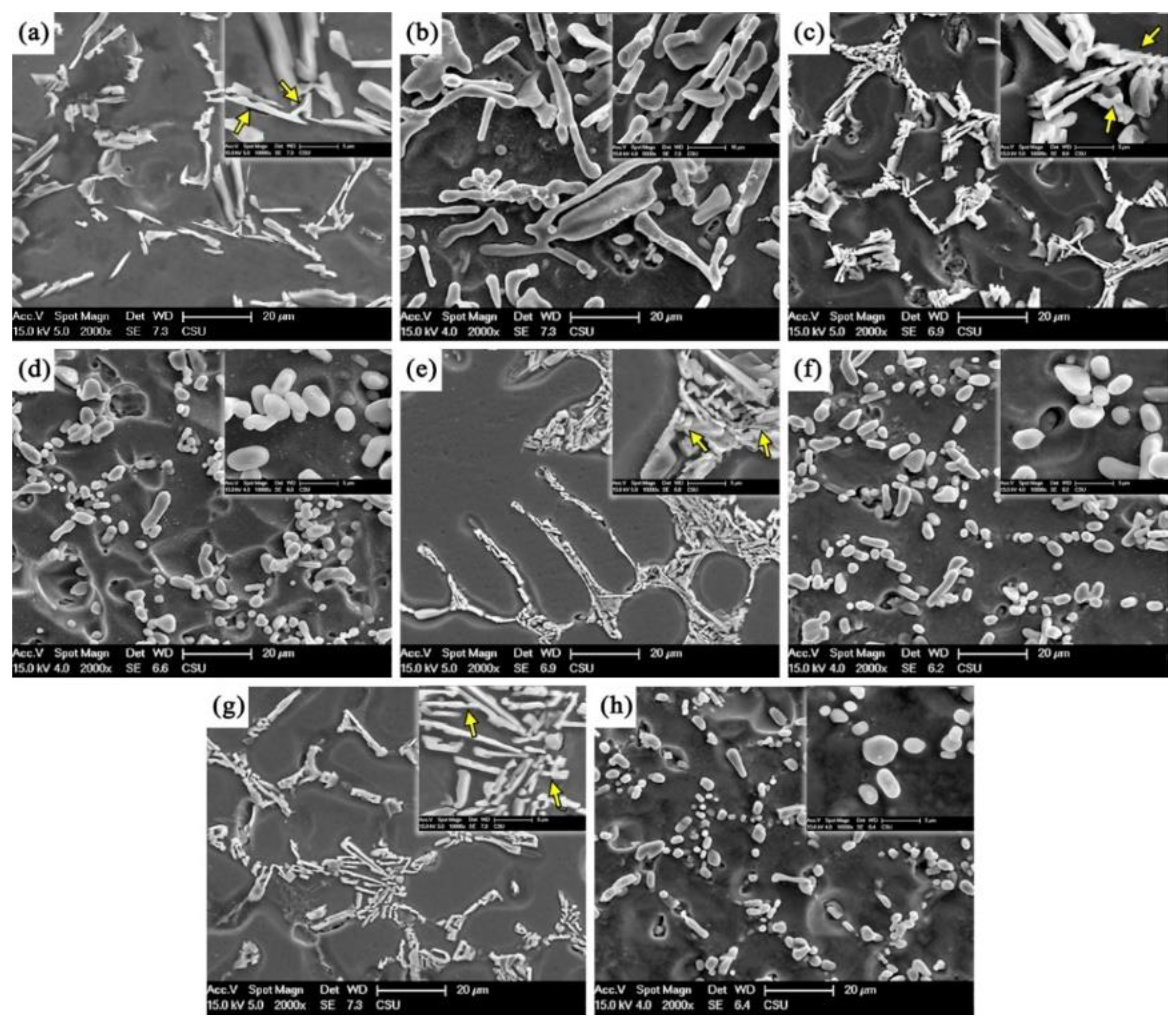 Metals 12 00377 g002