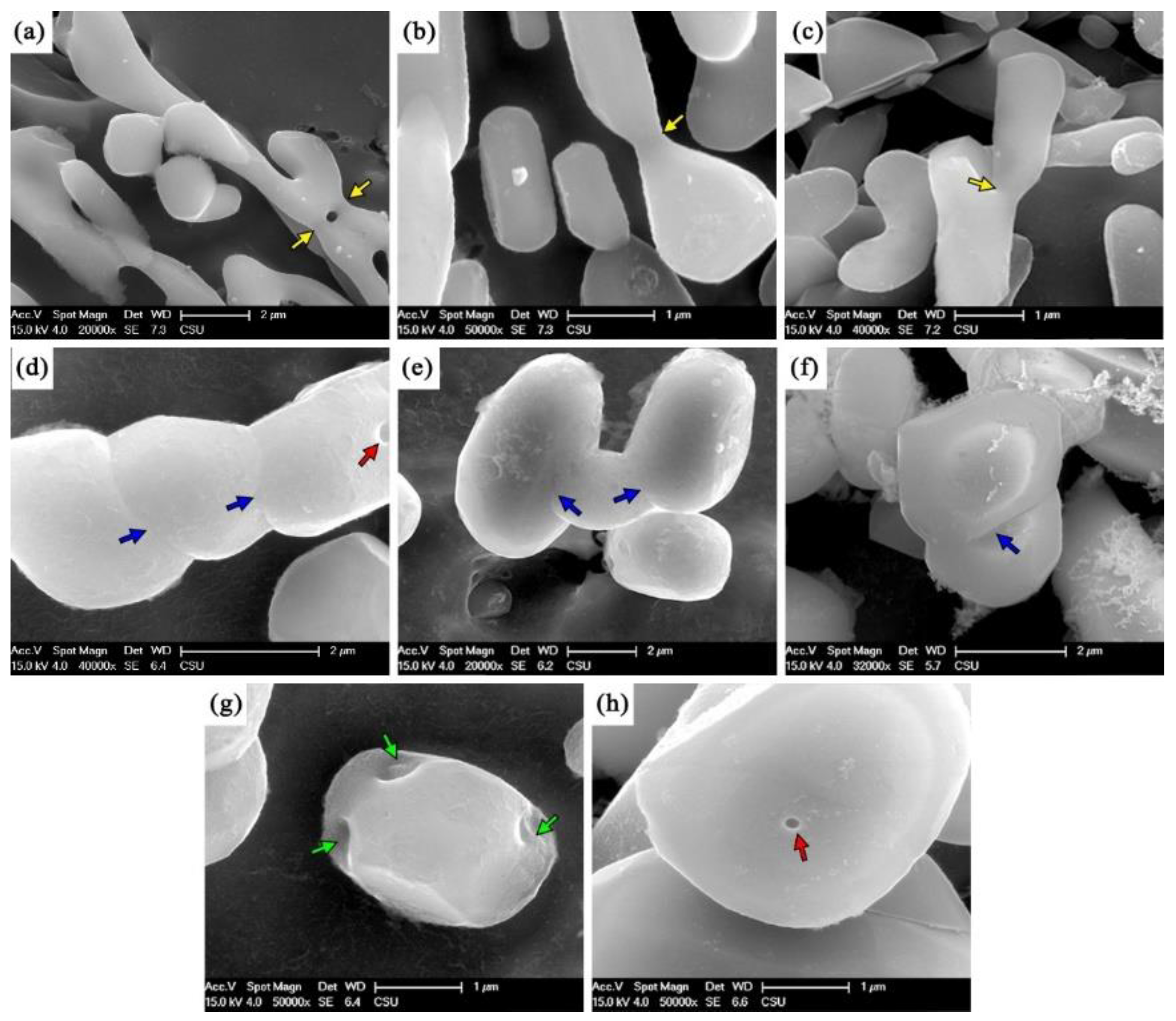 Metals 12 00377 g003