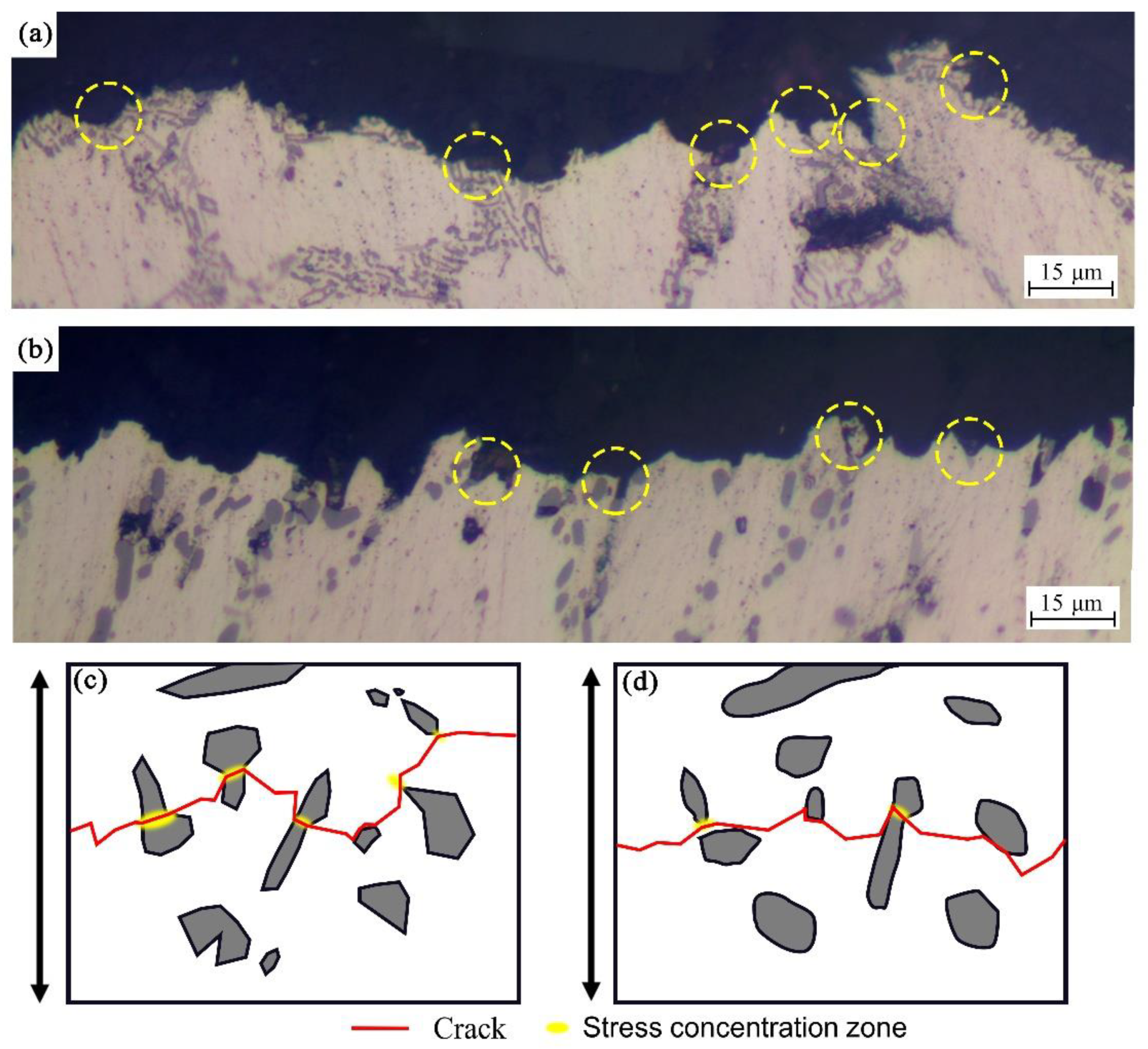 Metals 12 00377 g011