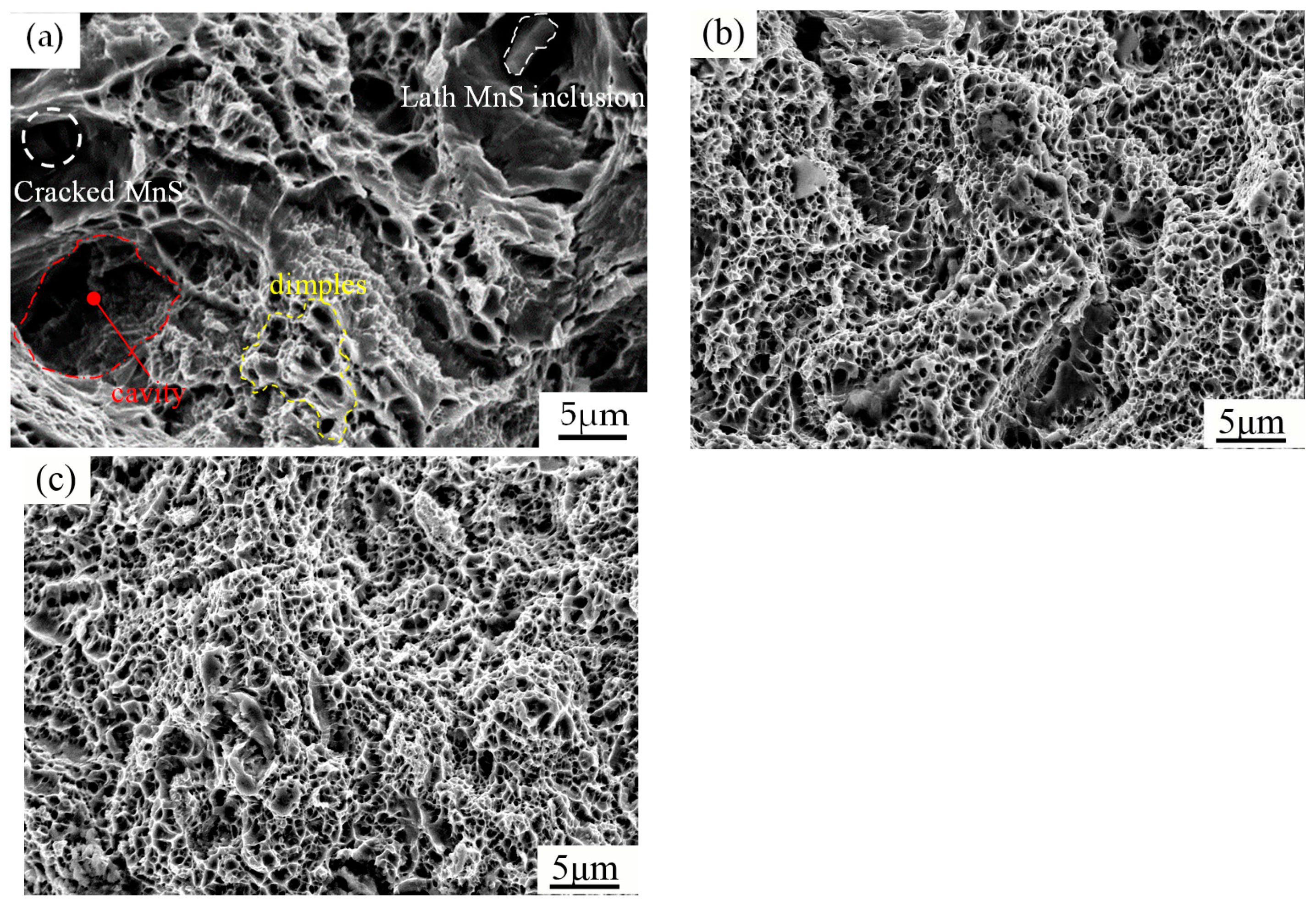 Metals 13 00427 g005