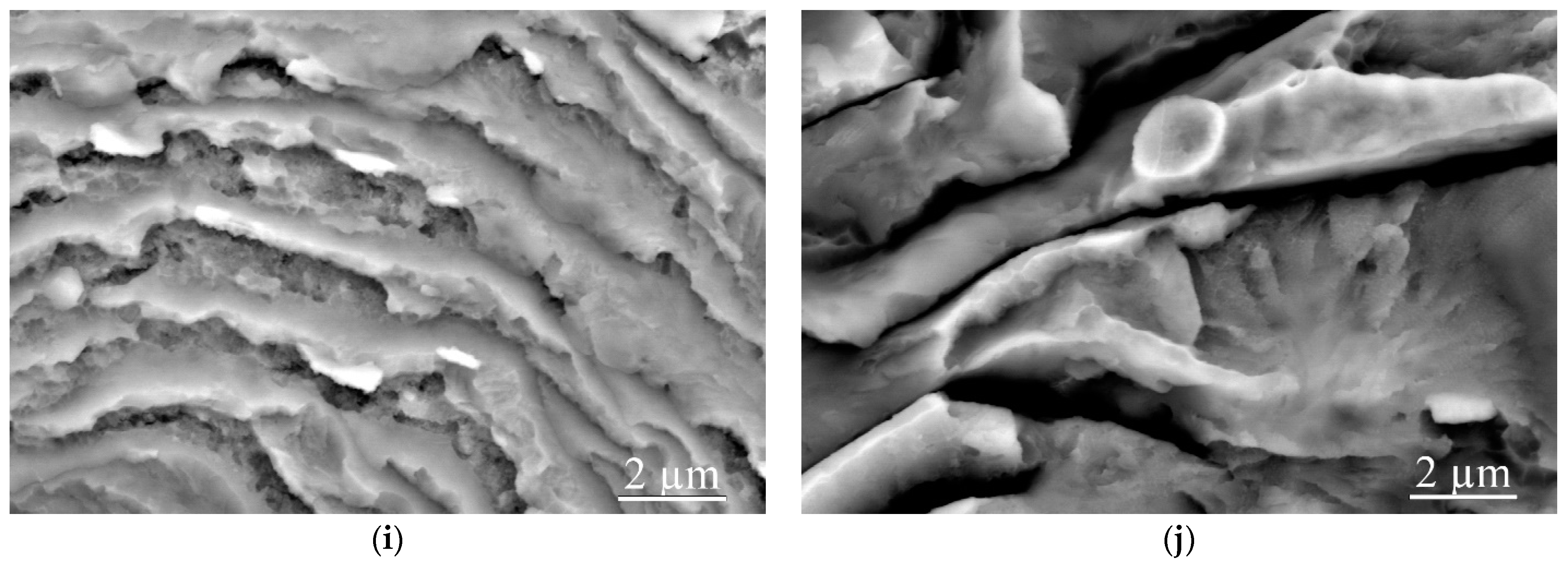 Metals 13 01417 g005b