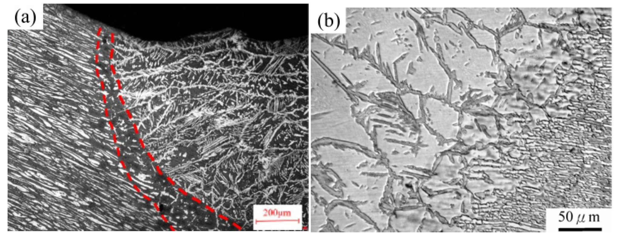 Metals 14 00068 g001