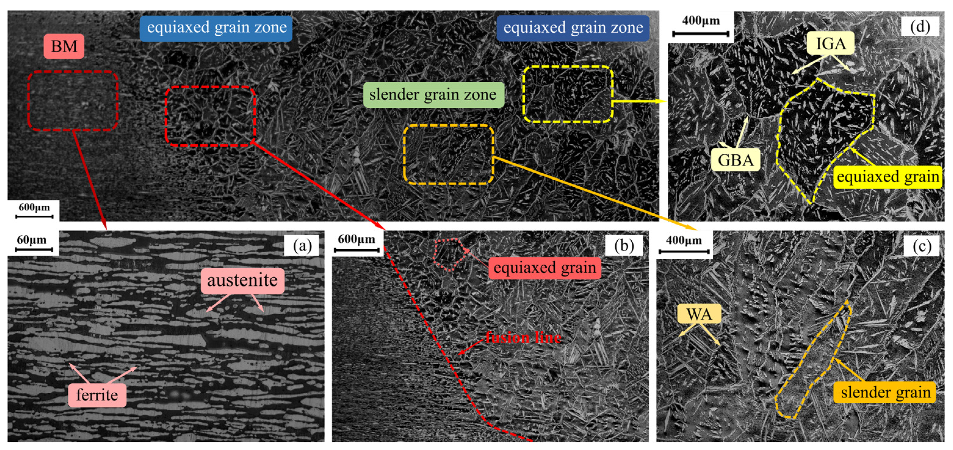 Metals 14 00068 g003