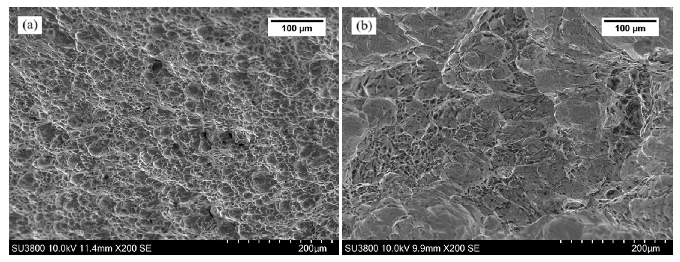 Metals 14 00068 g009