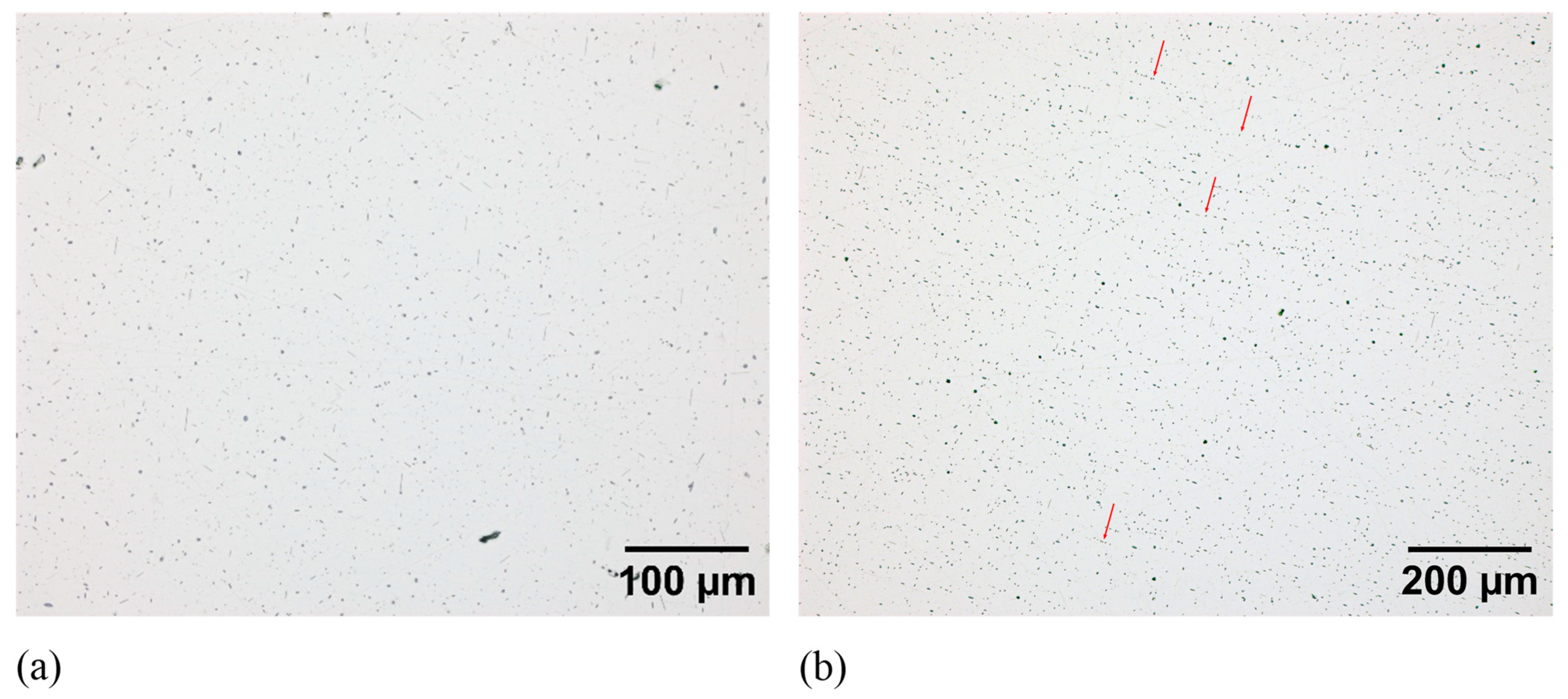 Metals 14 00215 g012