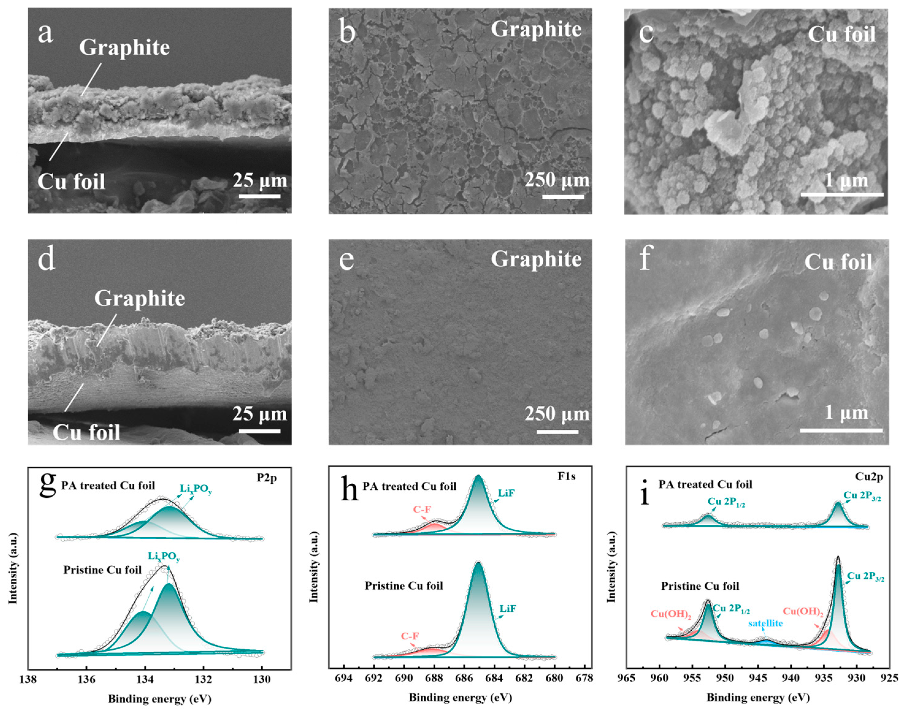 Metals 14 00247 g005