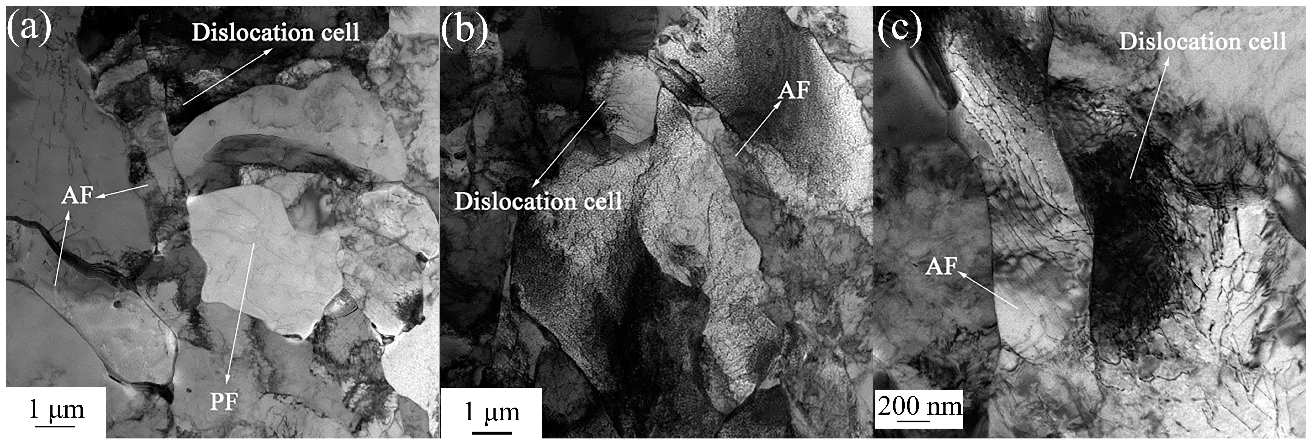 Metals 14 00249 g007