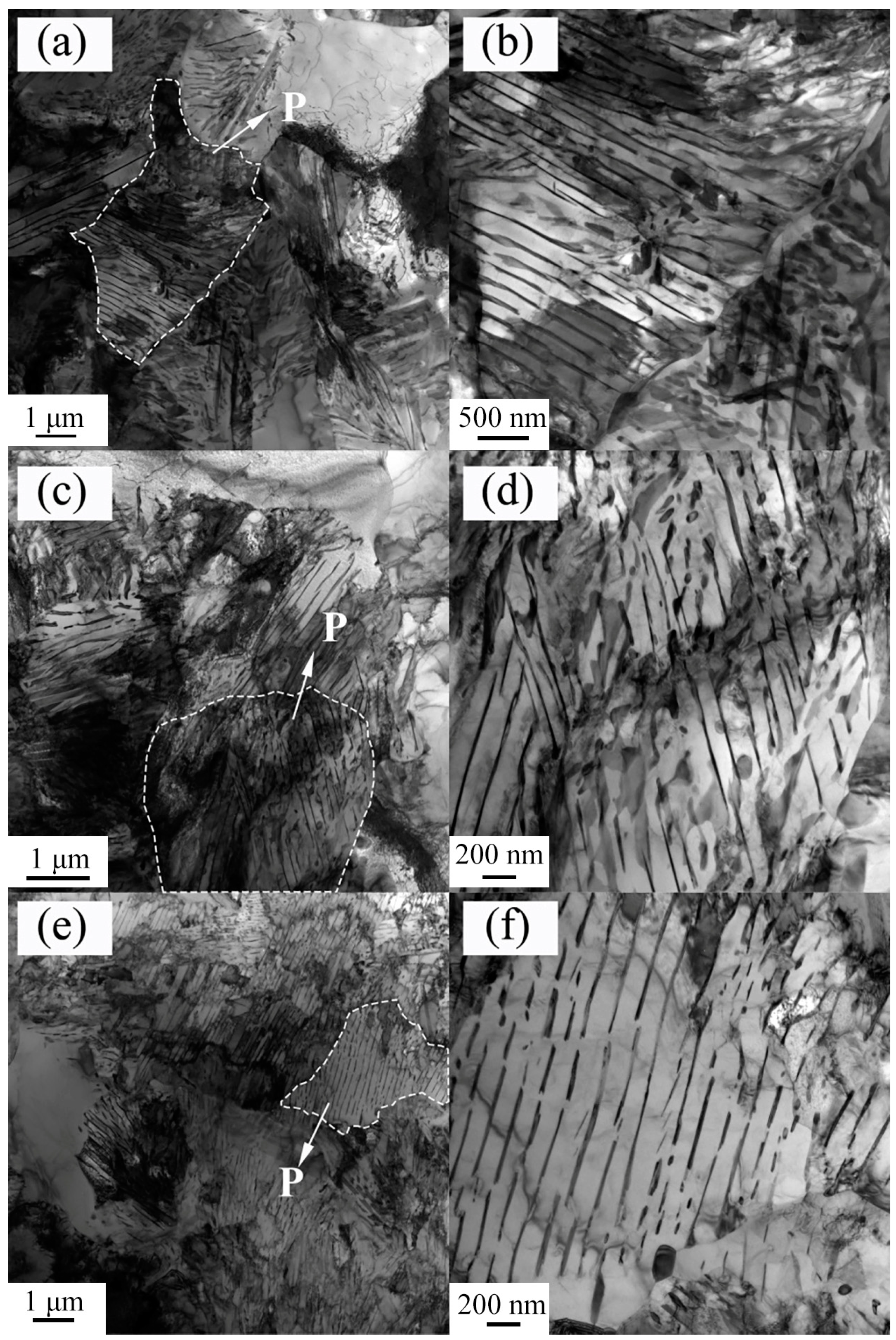 Metals 14 00249 g008