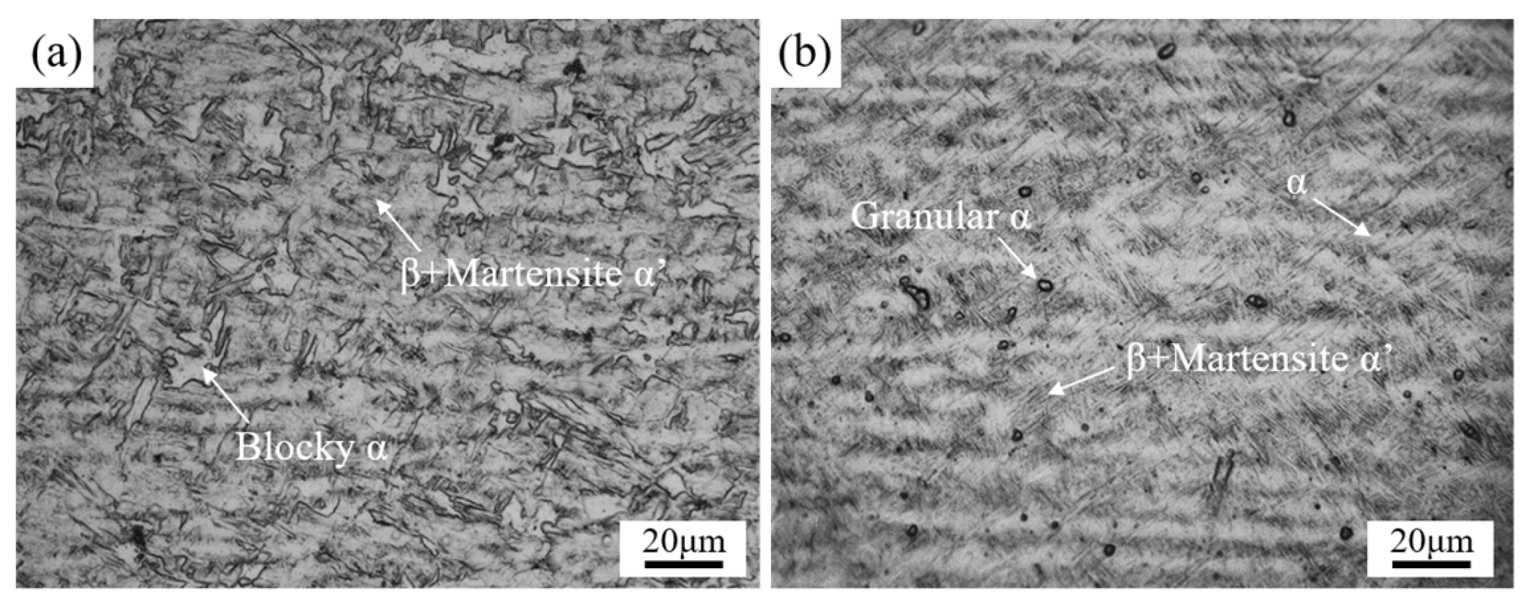 Metals 14 00510 g010
