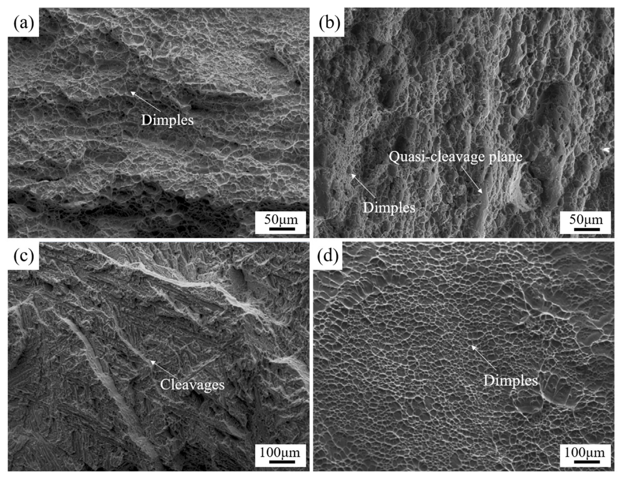 Metals 14 00510 g014