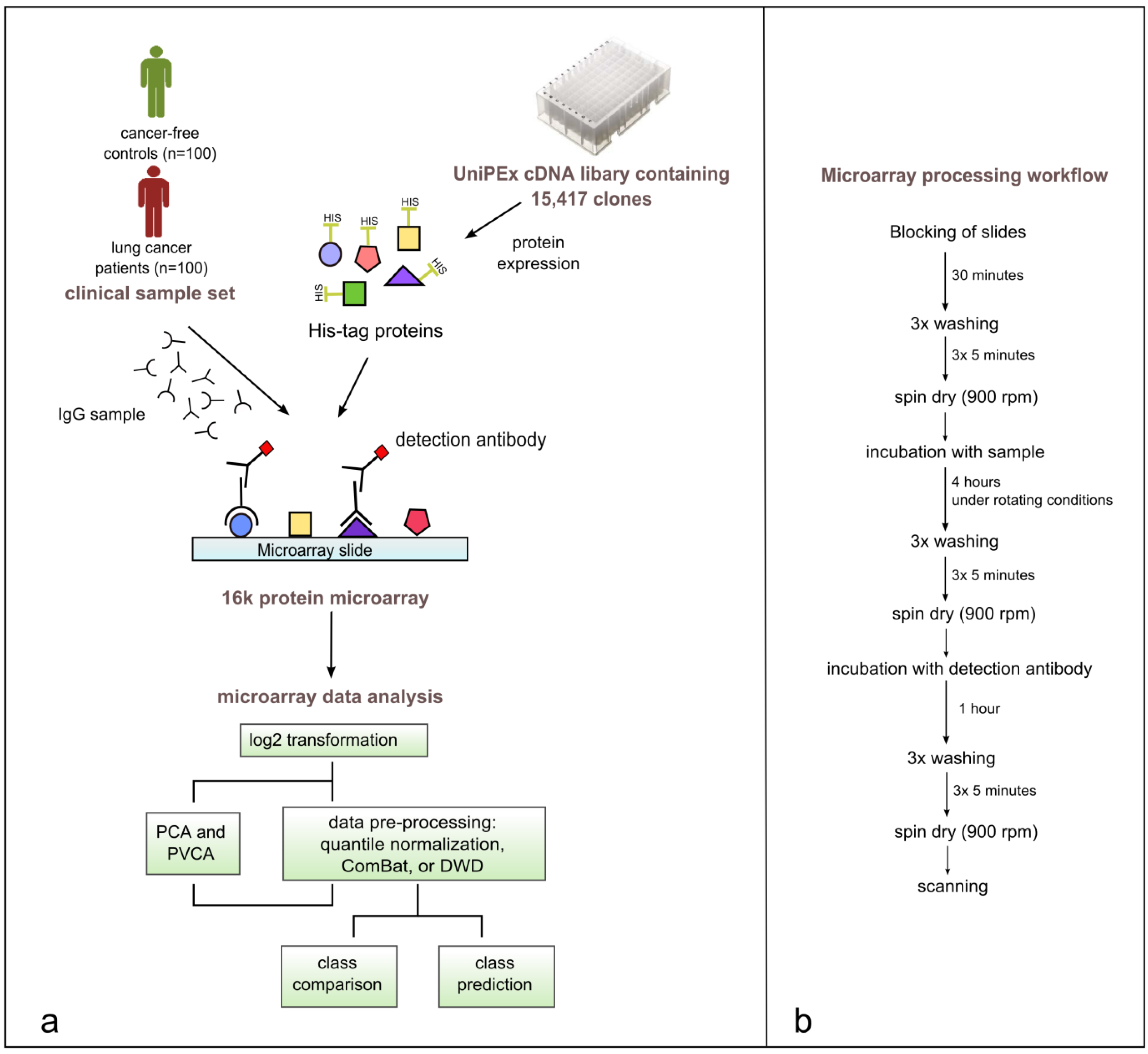 Genome-wide analyses using bead-based microarrays