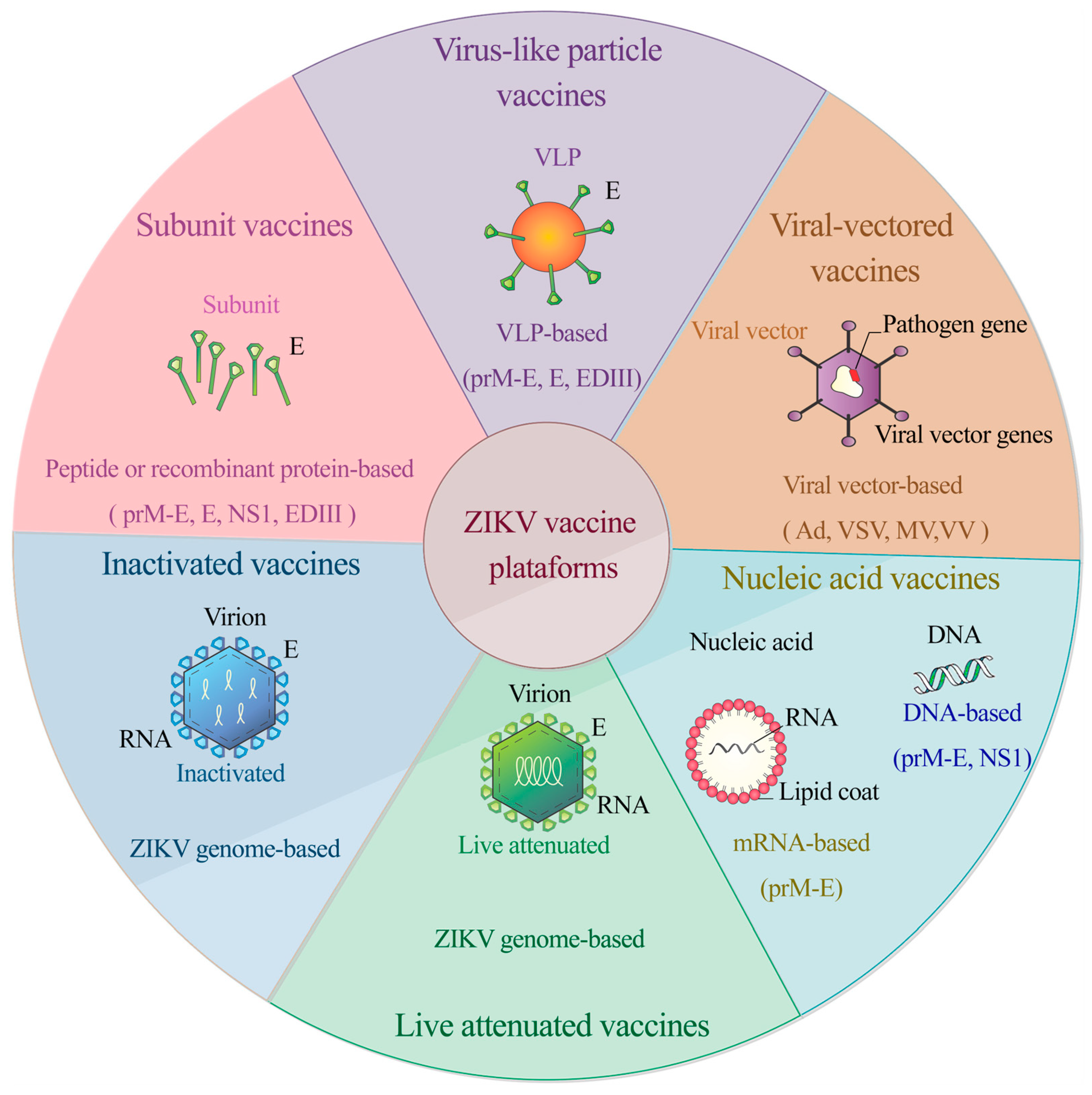 Microbiolres 15 00044 g002