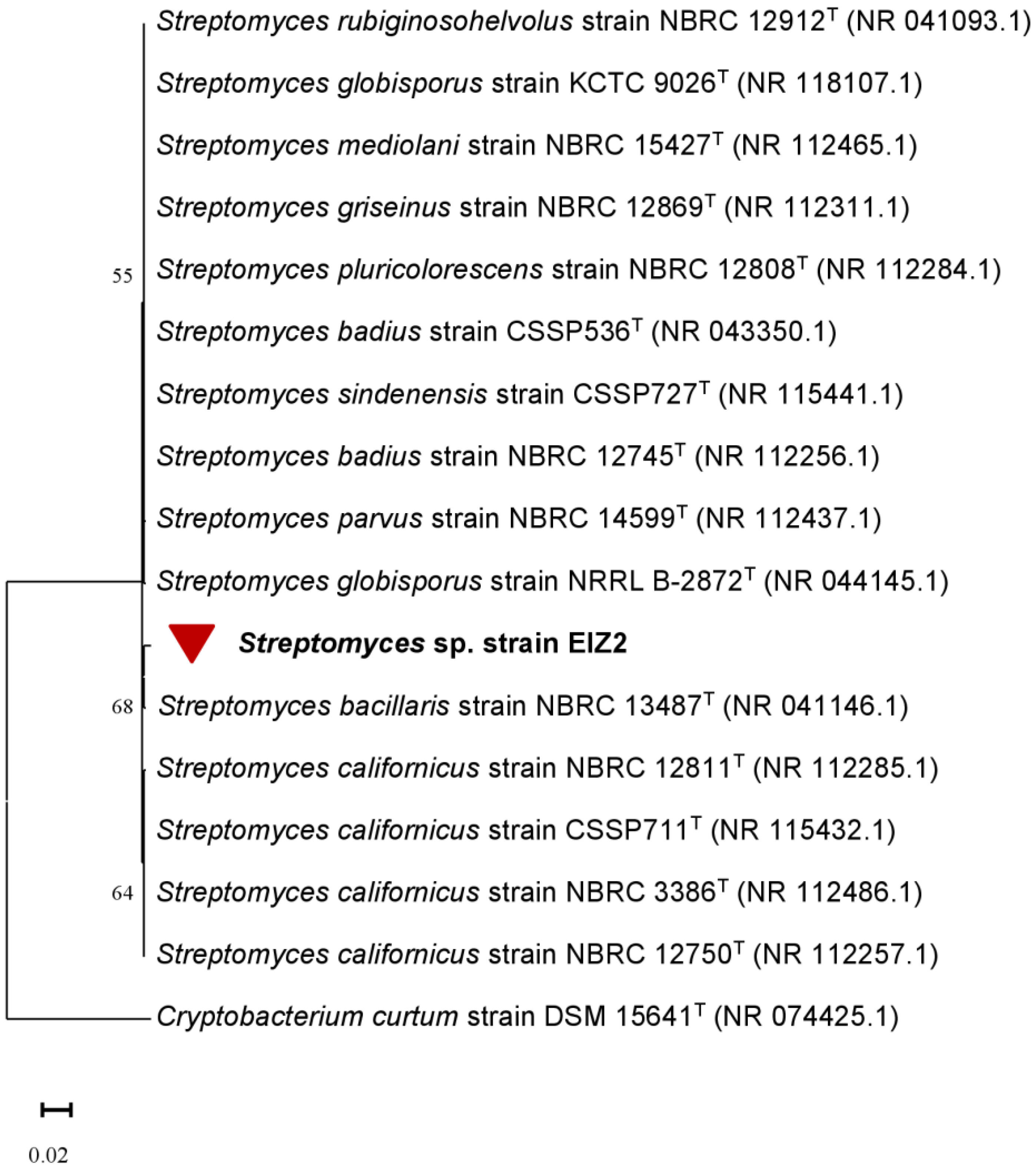Microbiolres 15 00050 g004