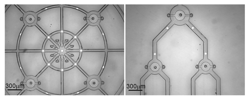 Micromachines 02 00356f9 1024