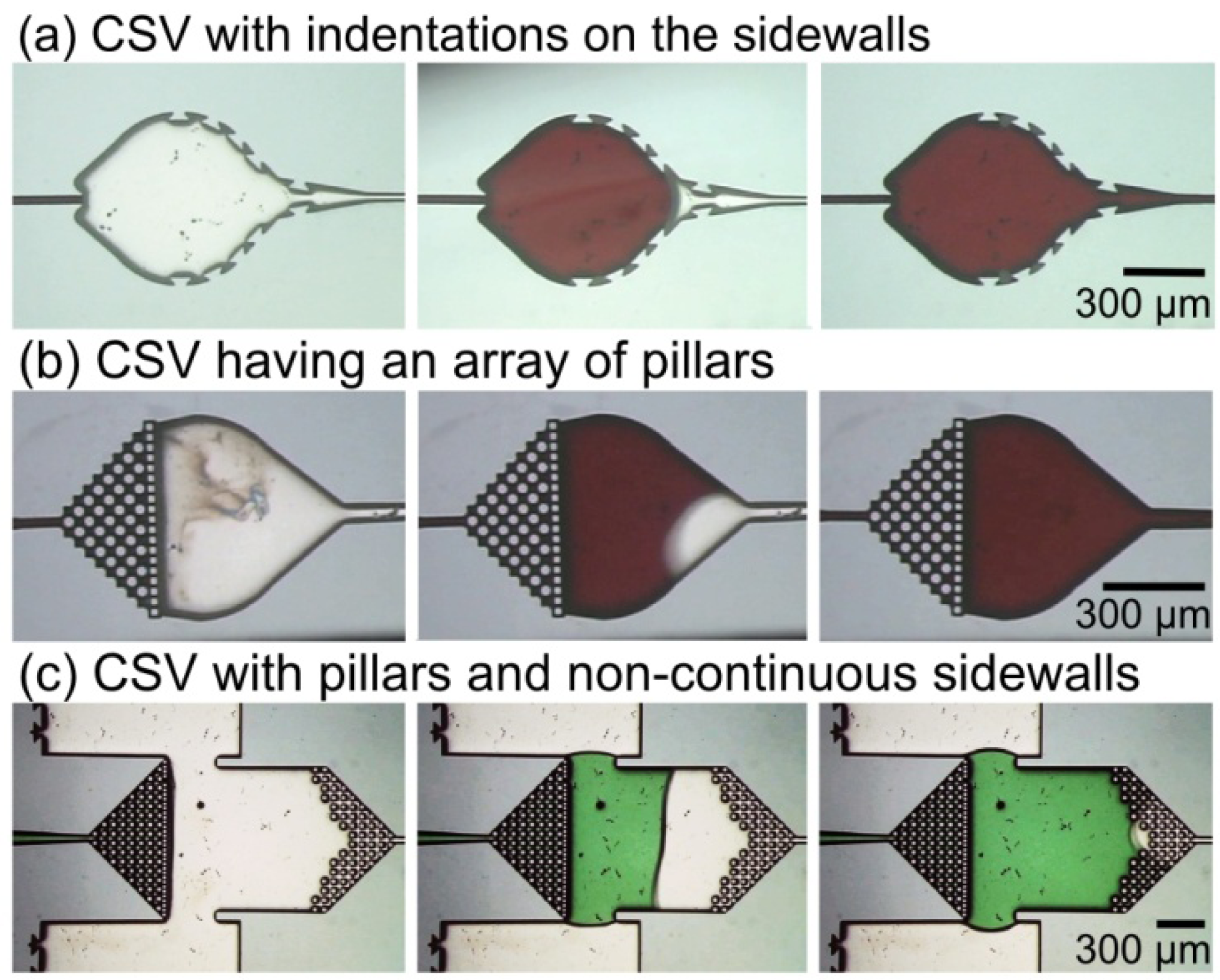 Micromachines 04 00001 g003
