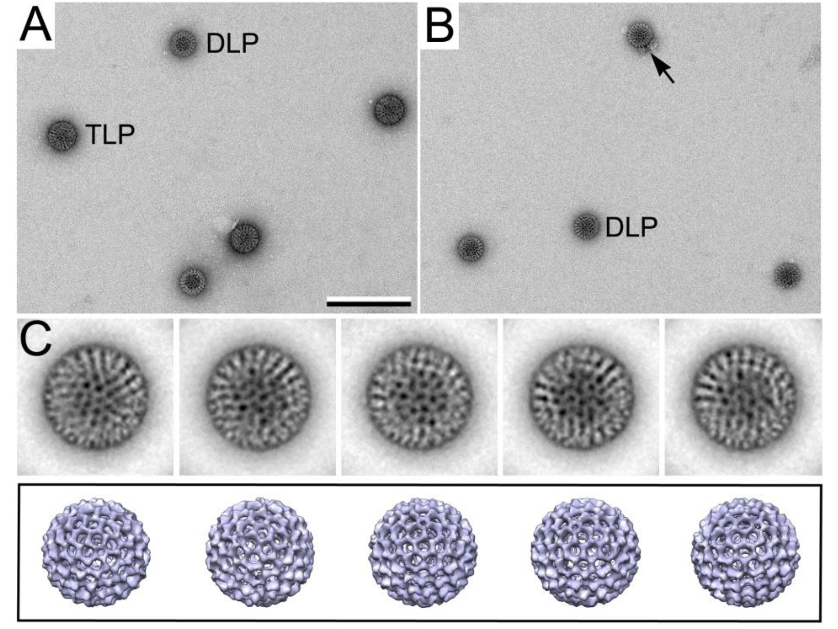 Micromachines 04 00090 g005