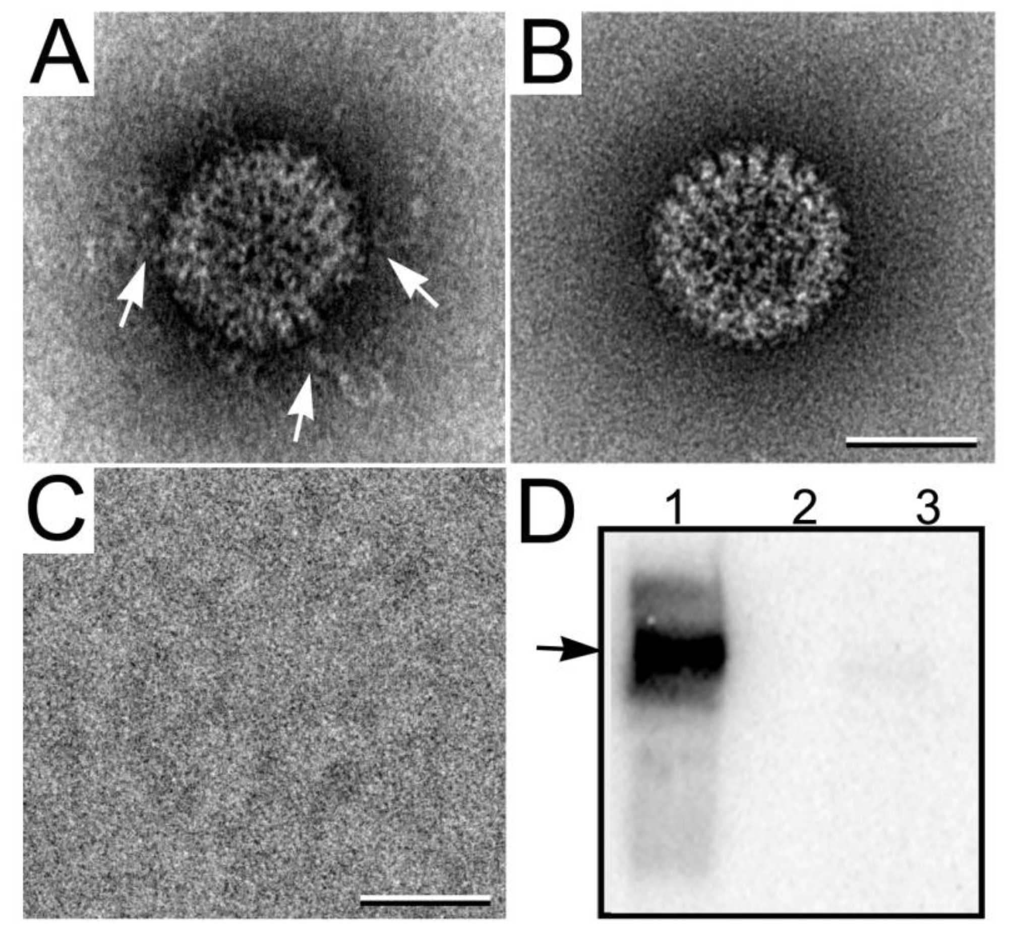 Micromachines 04 00090 g006