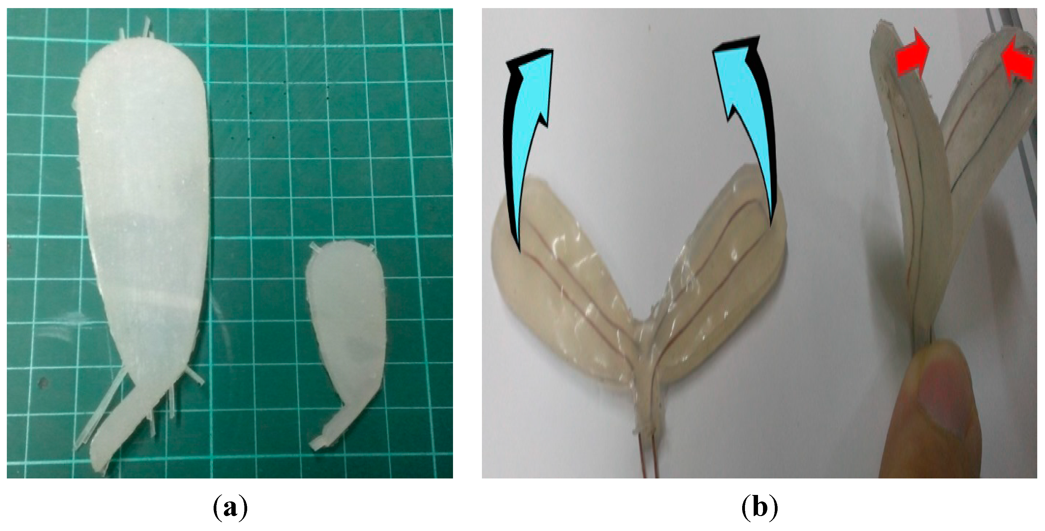 Micromachines 06 00042 g010