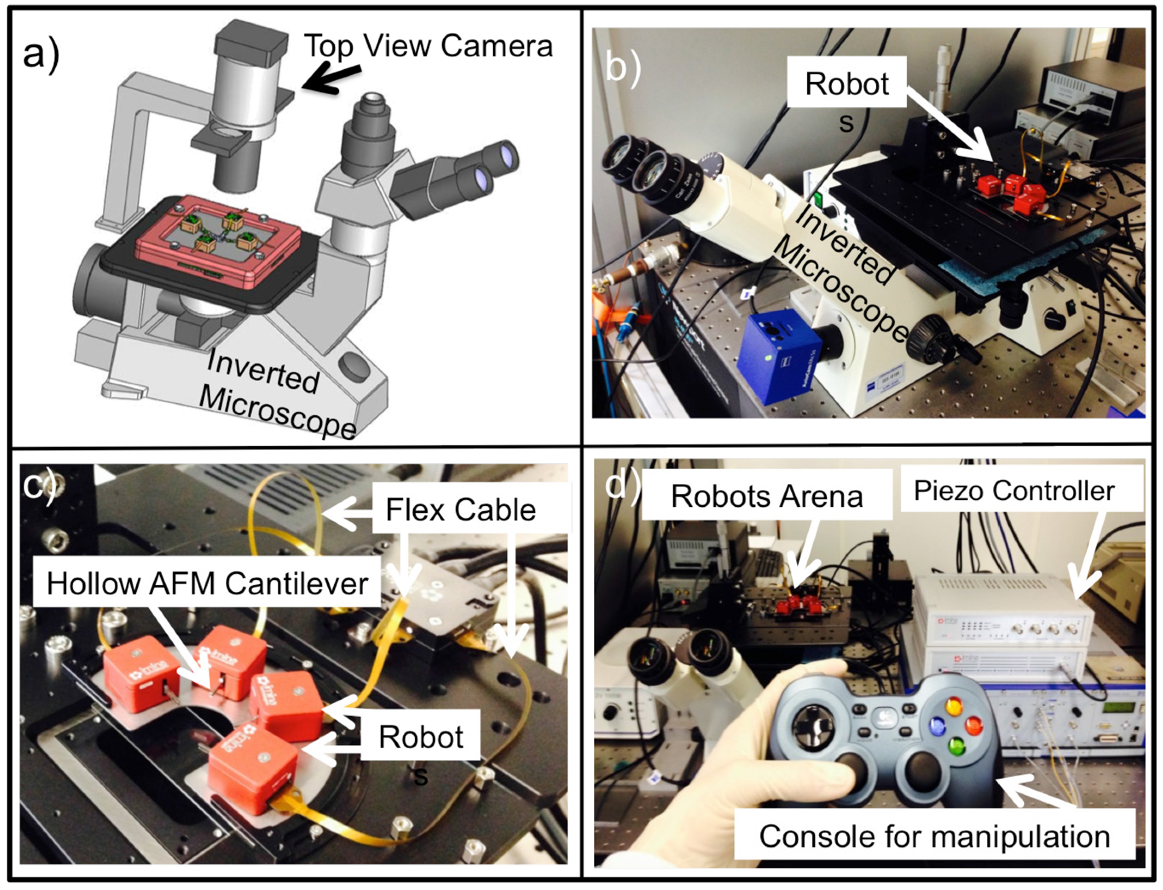 Micromachines 06 00600 g002