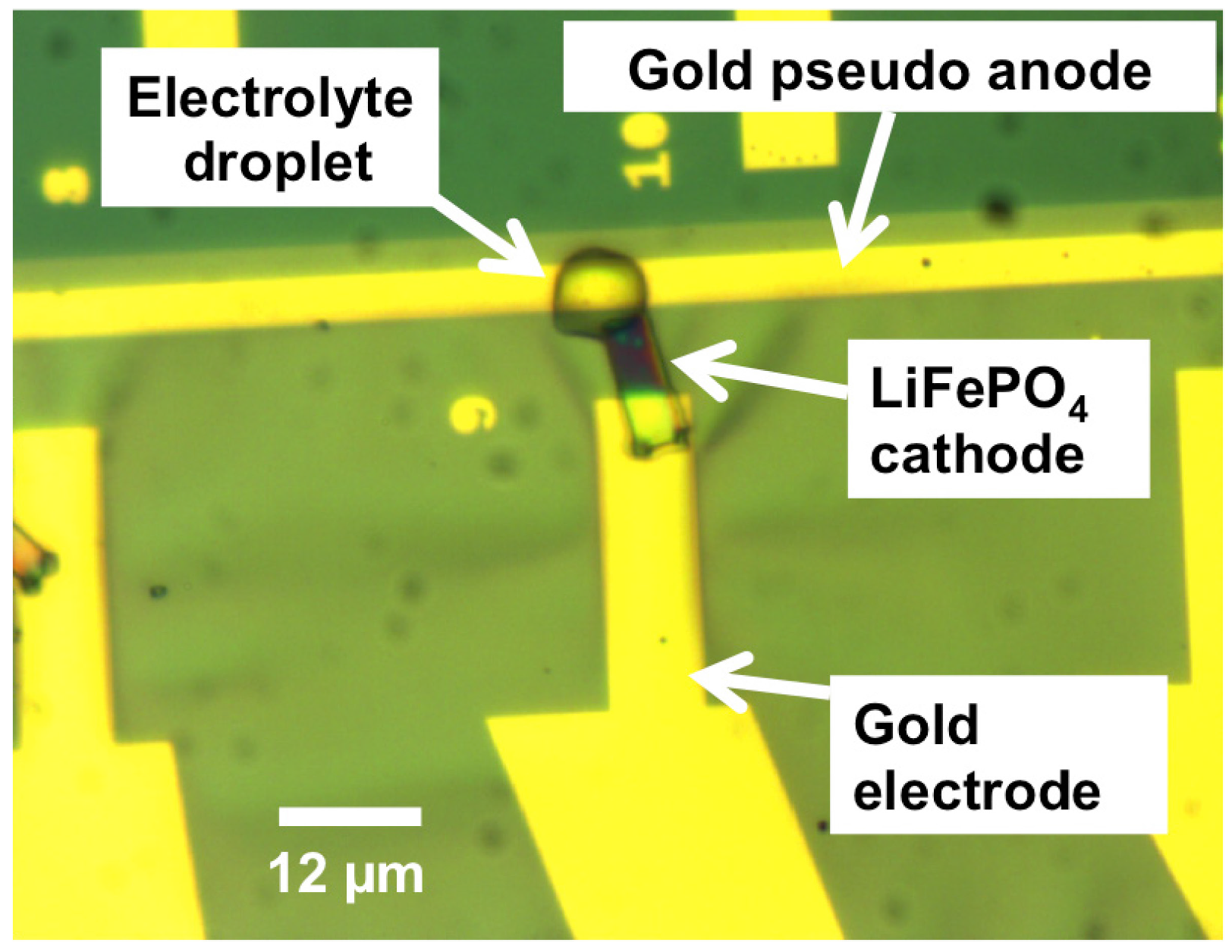 Micromachines 06 00600 g007