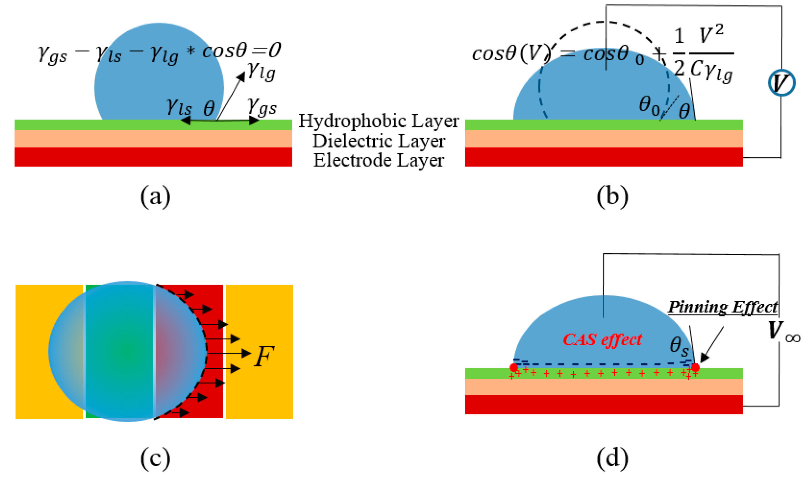 download biophysics