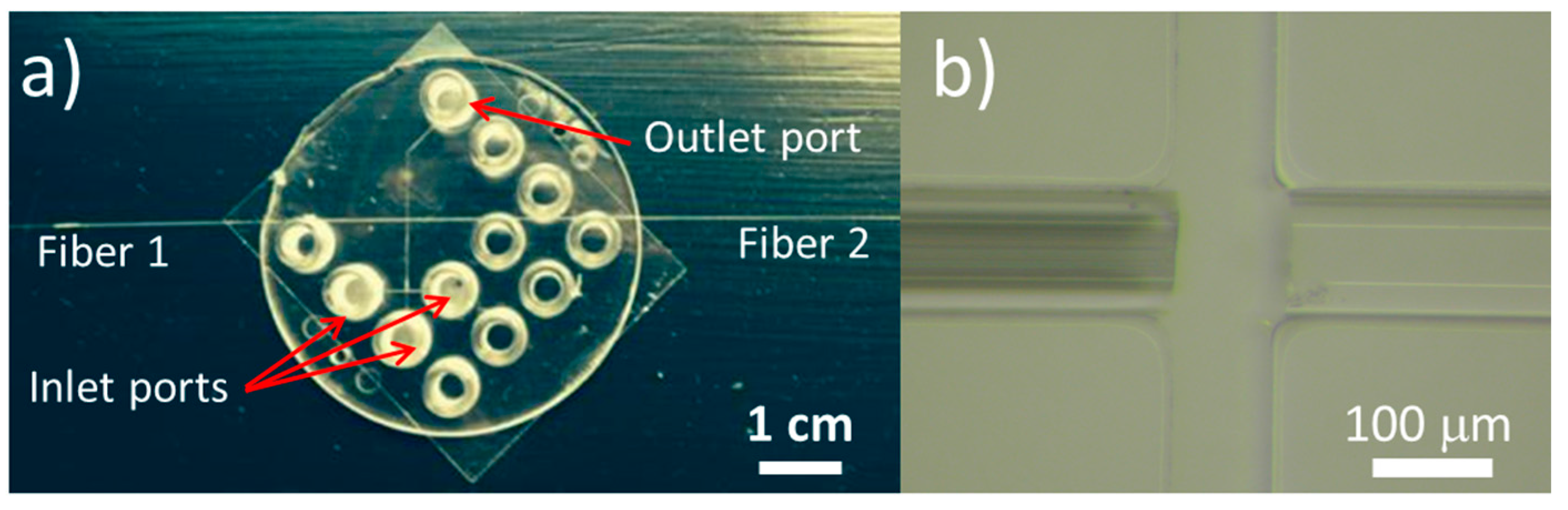 Micromachines 06 01468 g001