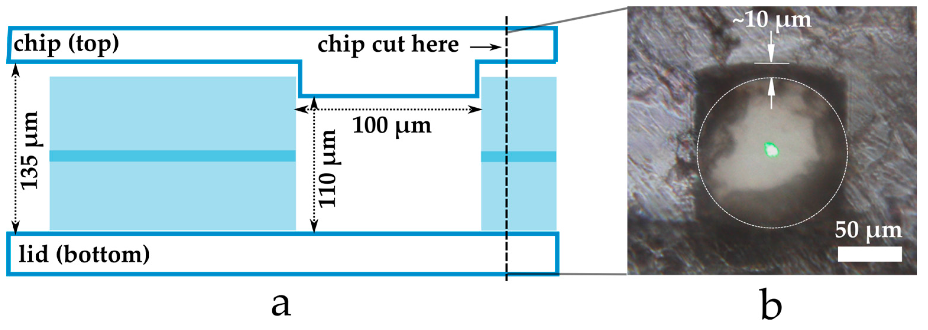 Micromachines 06 01468 g003