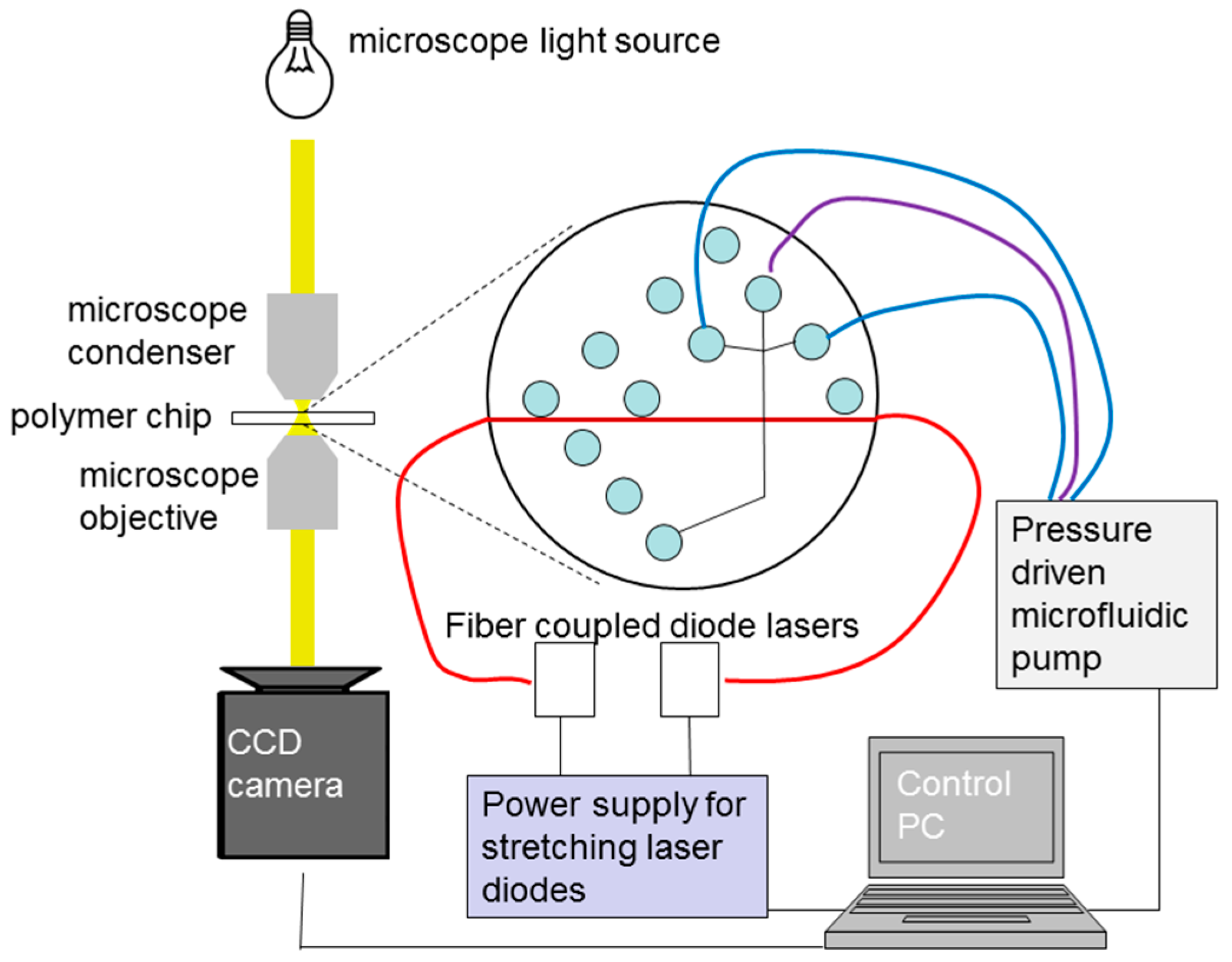 Micromachines 06 01468 g007