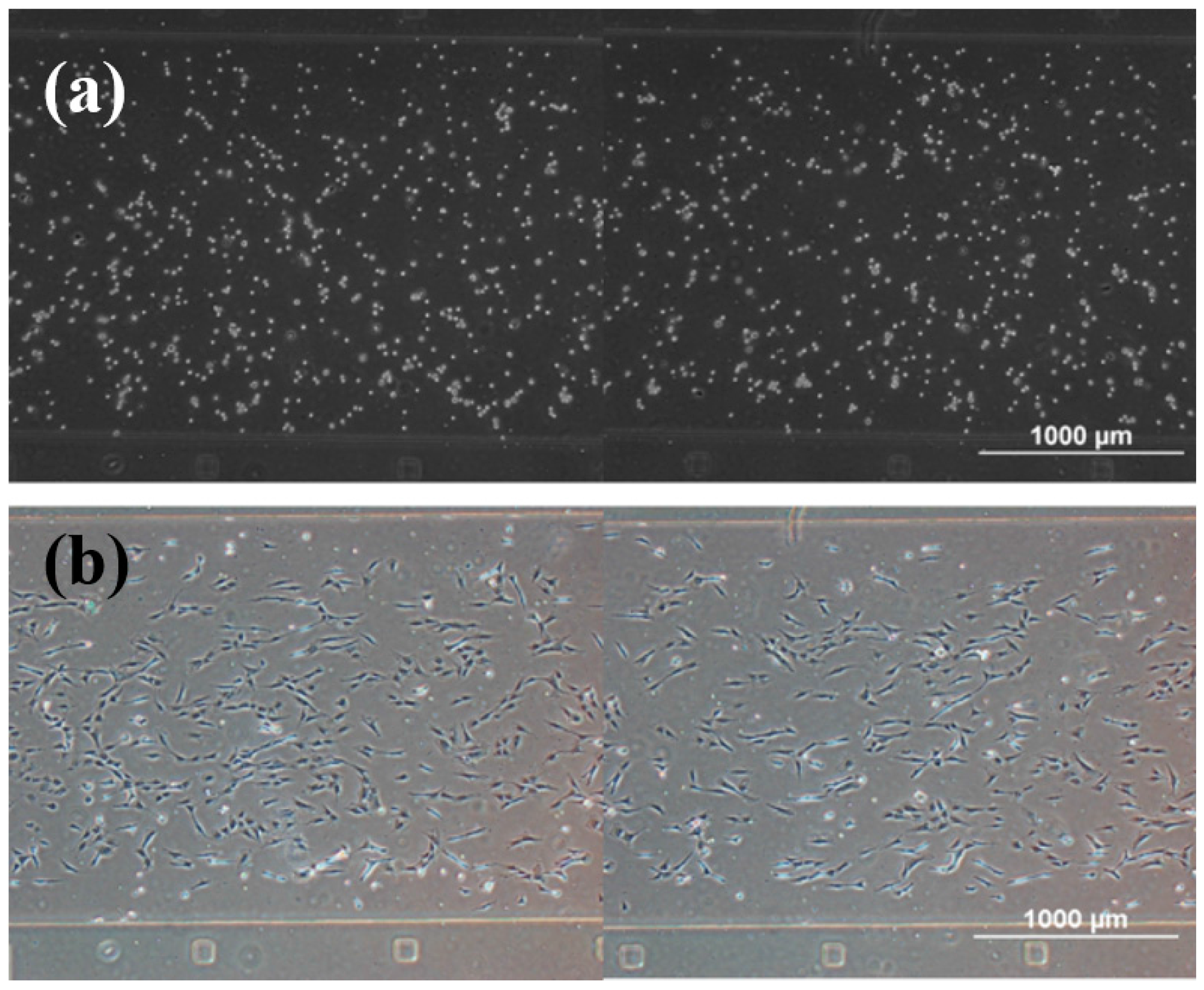 Micromachines 06 01470 g003