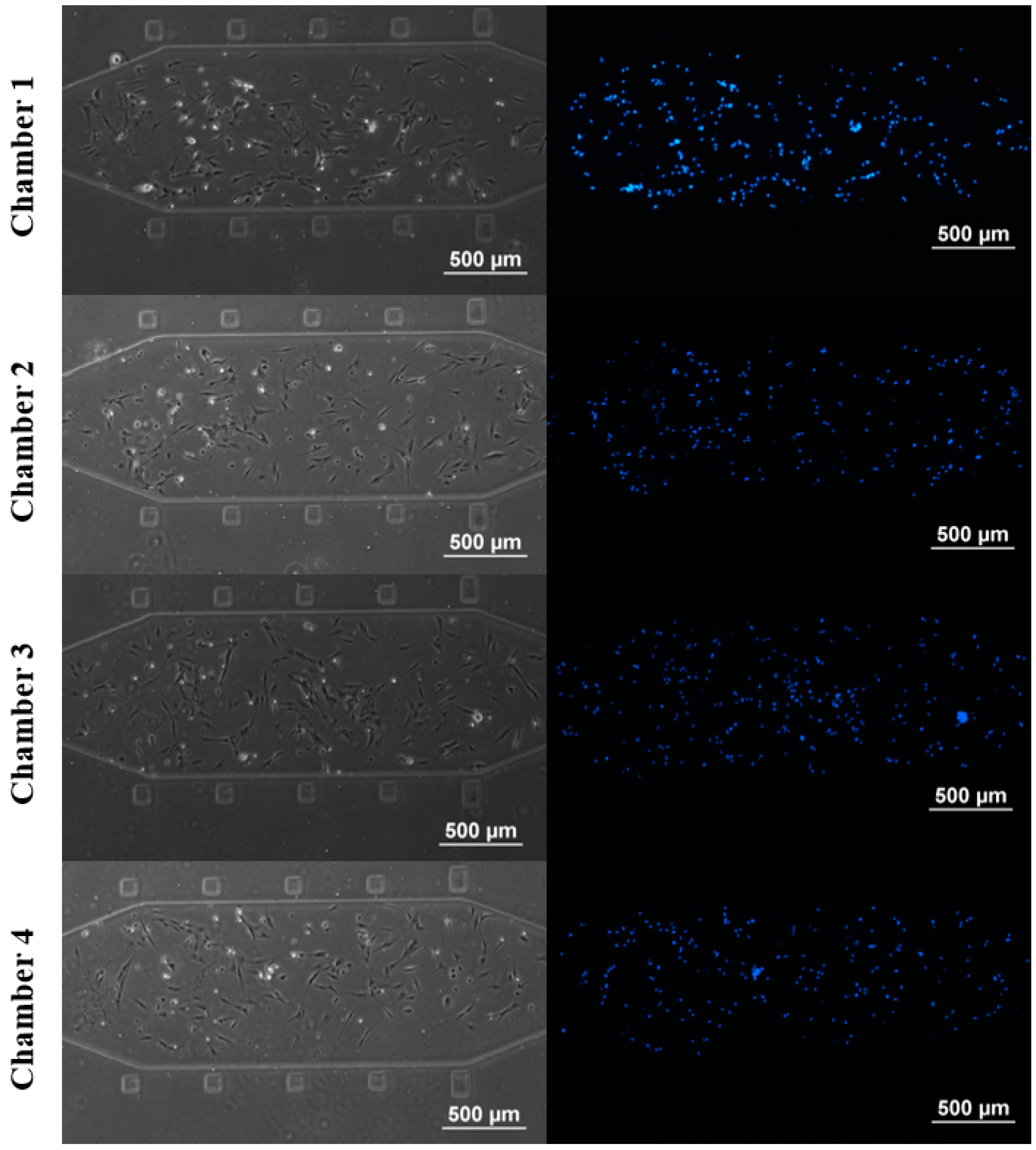 Micromachines 06 01470 g004