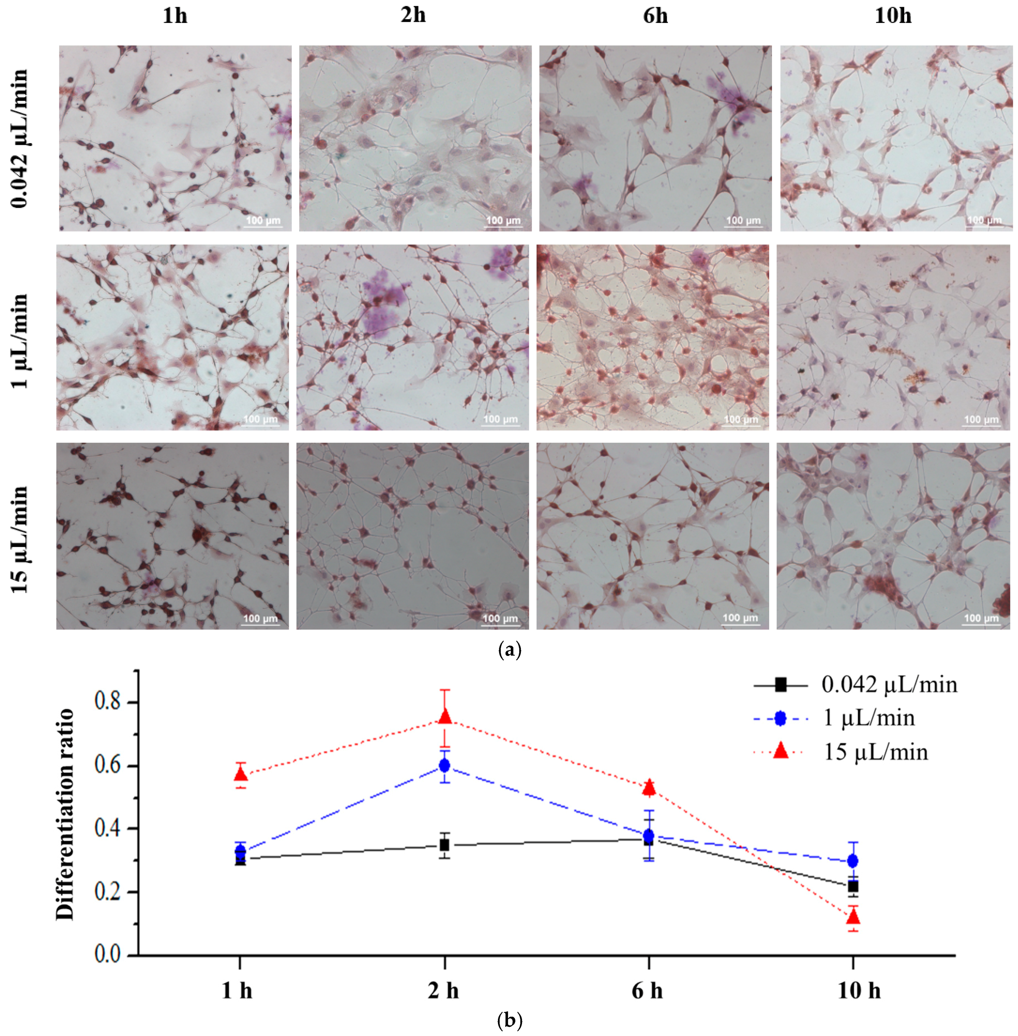 Micromachines 06 01470 g008