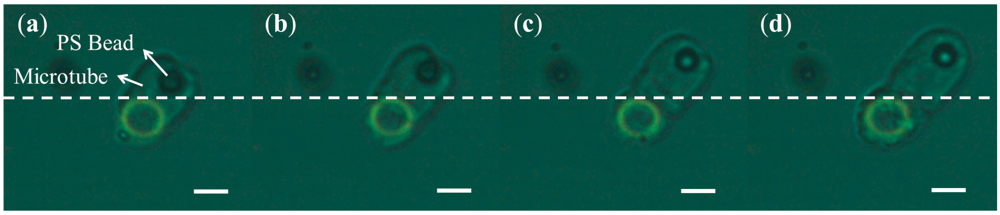 Micromachines 07 00065 g006