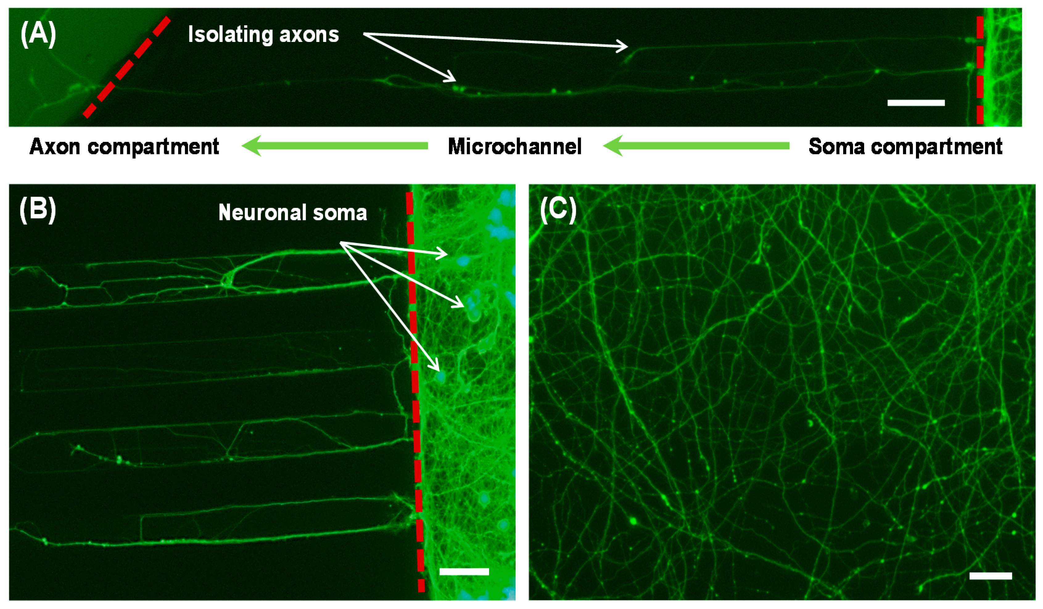 Micromachines 07 00114 g005