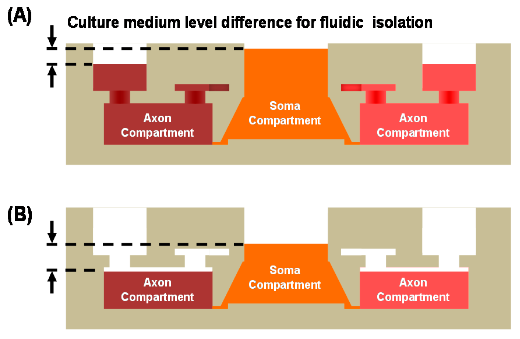 Micromachines 07 00114 g006
