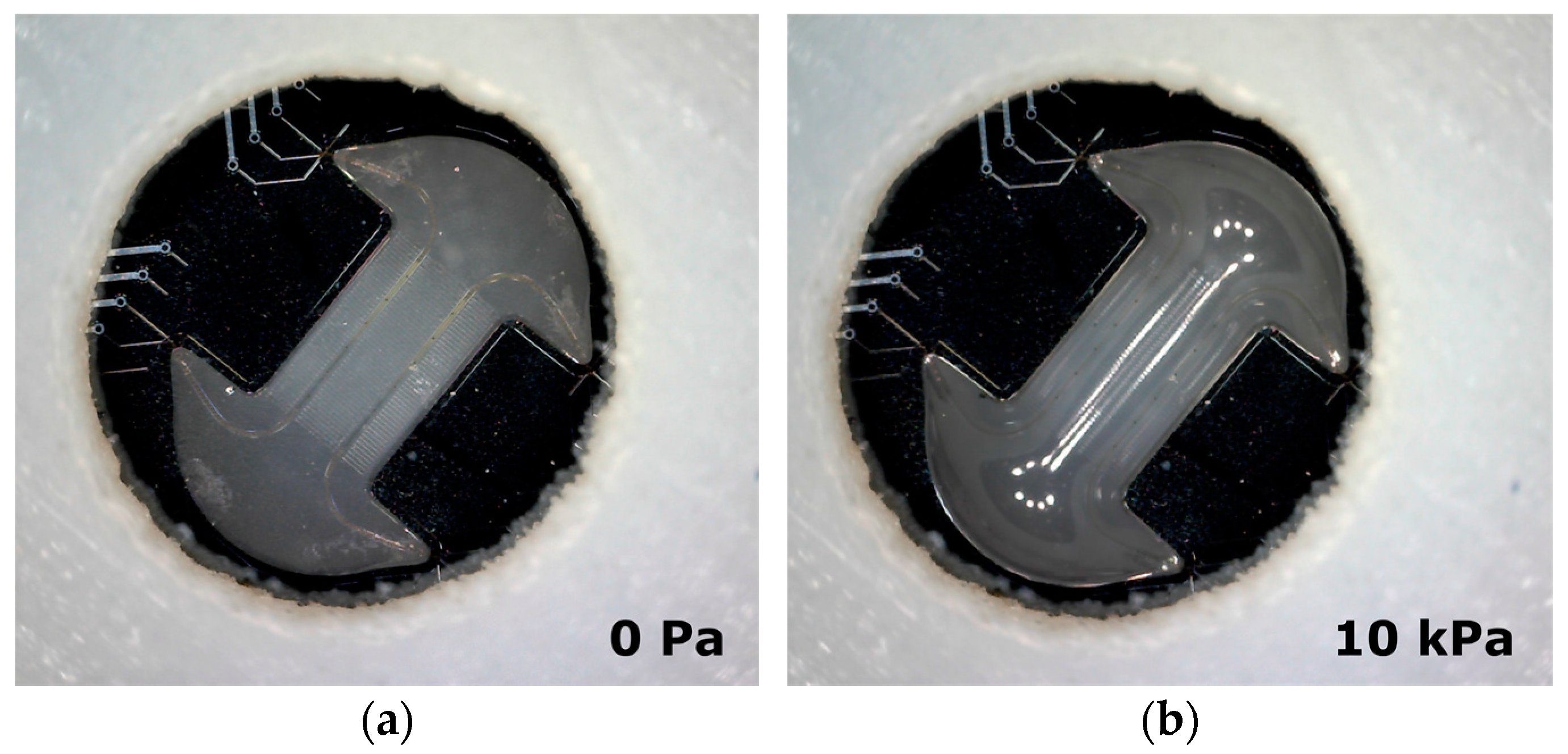 Micromachines 07 00120 g002