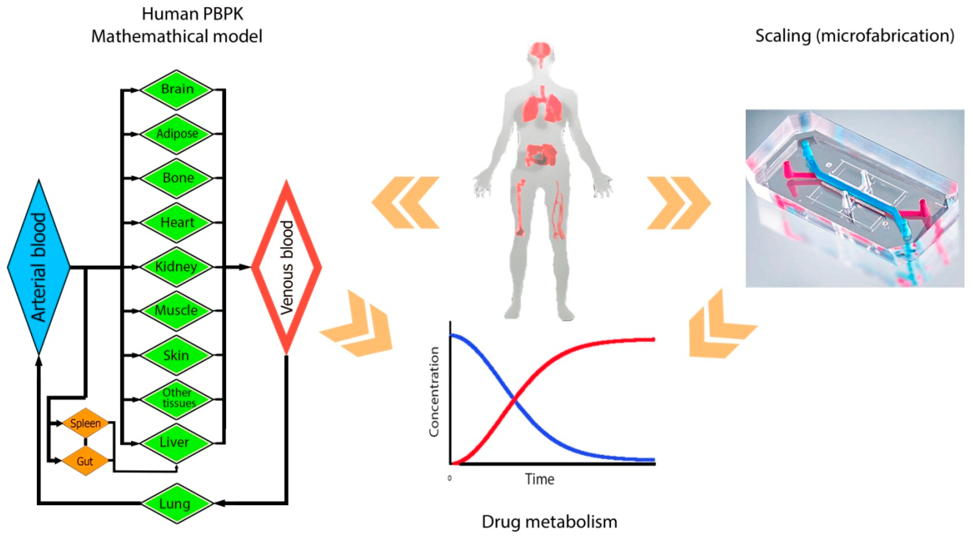 in-silico drug designing research papers In silico (literally latin for one way to achieve this is by producing and screening drug candidates in silico has been used in white papers written to. in-silico drug designing research papers In silico (literally latin for one way to achieve this is by producing and screening drug candidates in silico has been used in white papers written to.