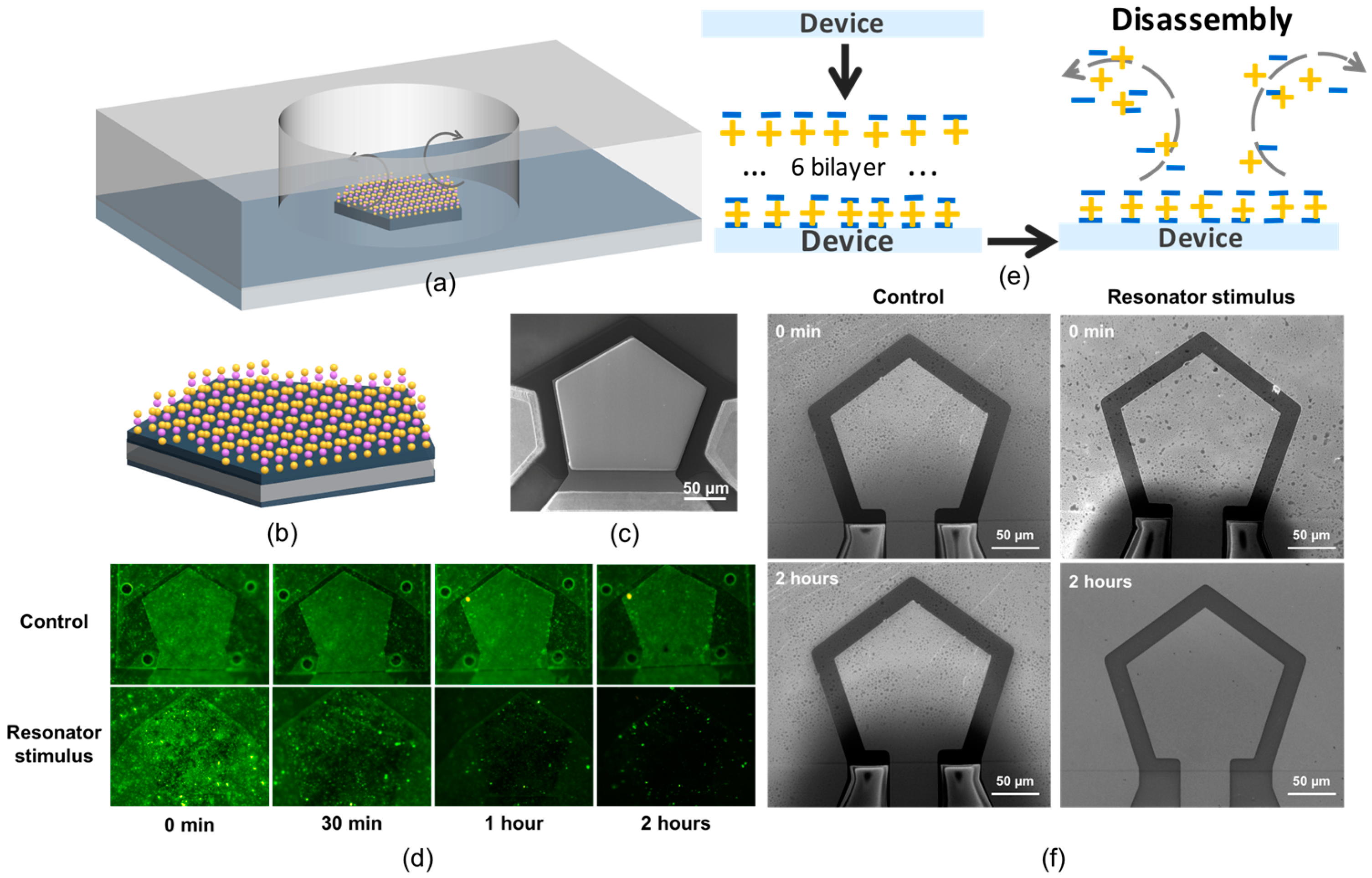 Micromachines 07 00194 g002