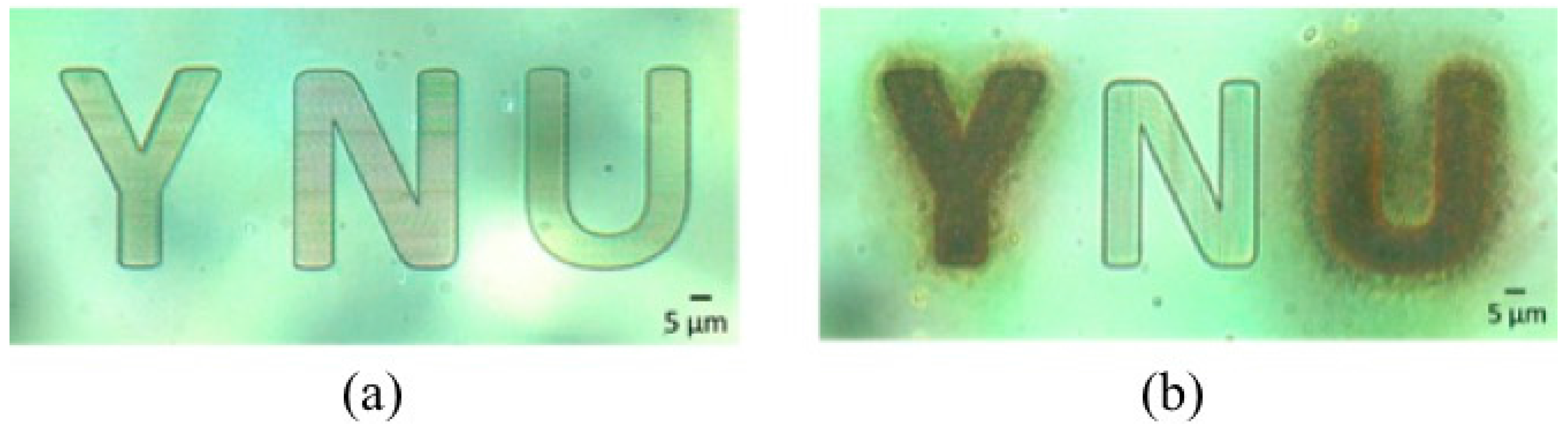 Micromachines 08 00035 g004