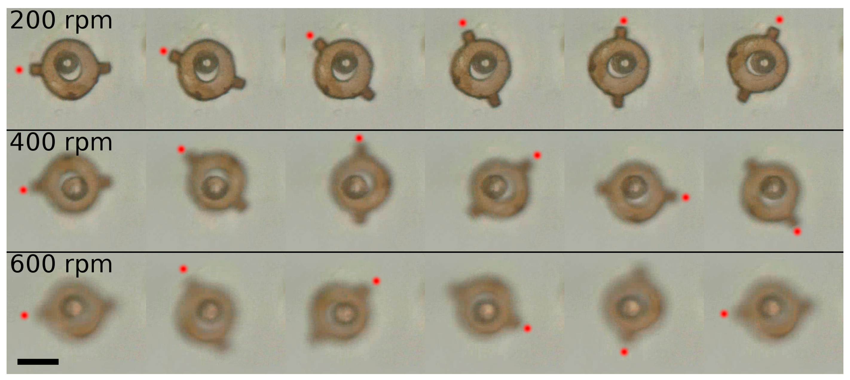 Micromachines 08 00035 g006