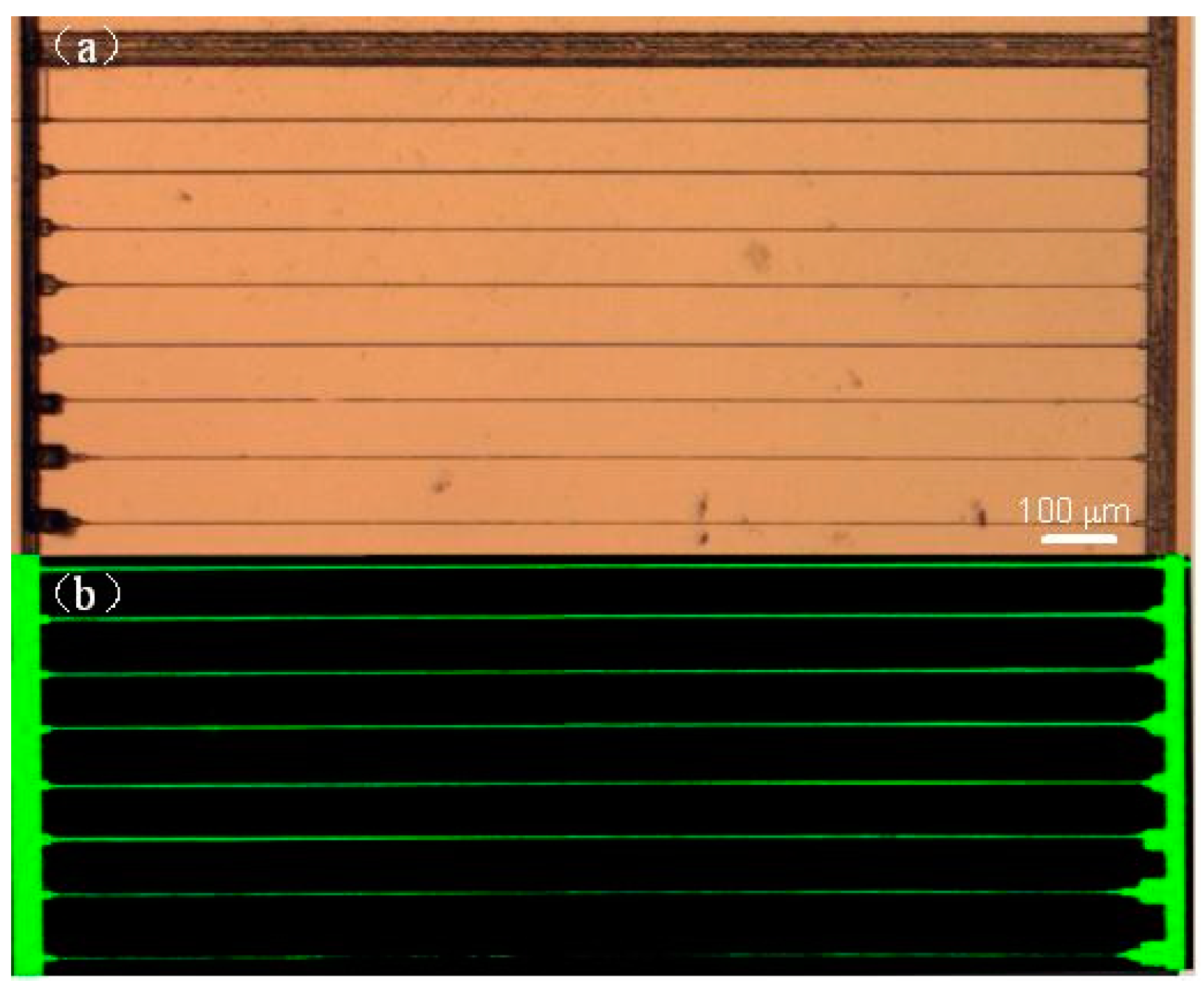 Micromachines 08 00059 g006