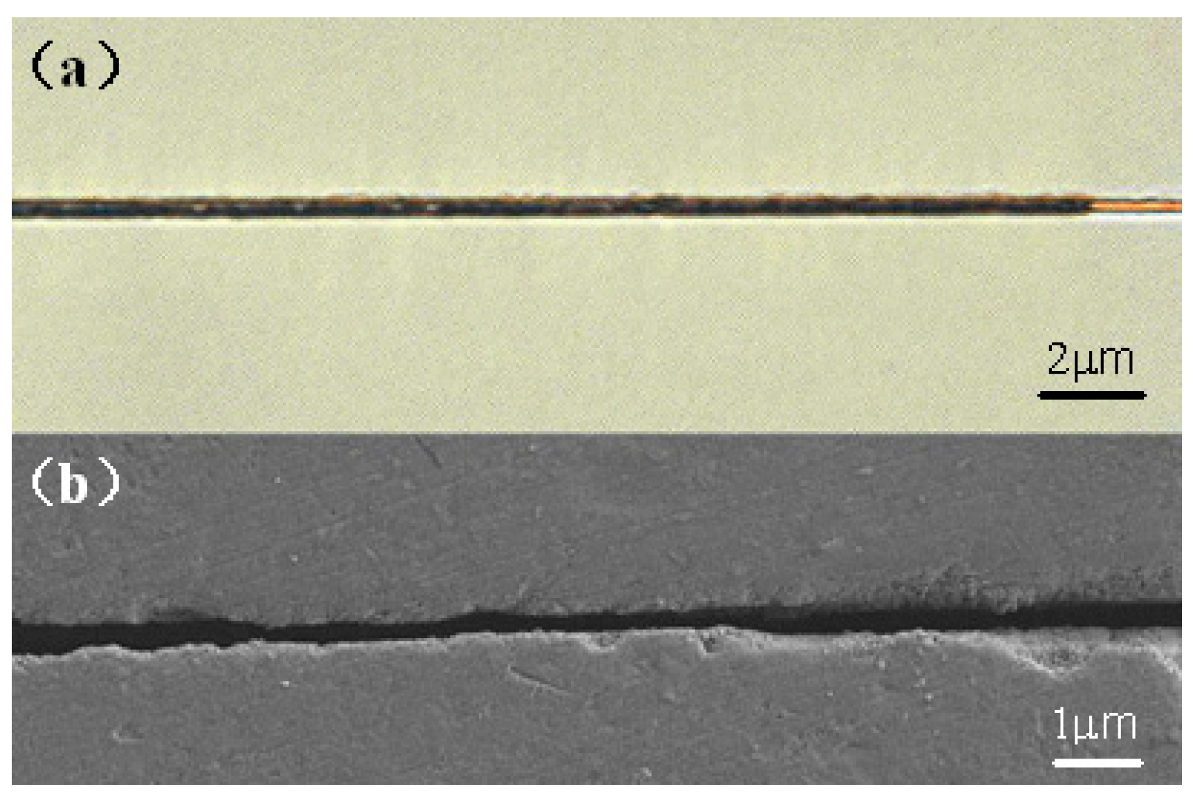 Micromachines 08 00059 g007