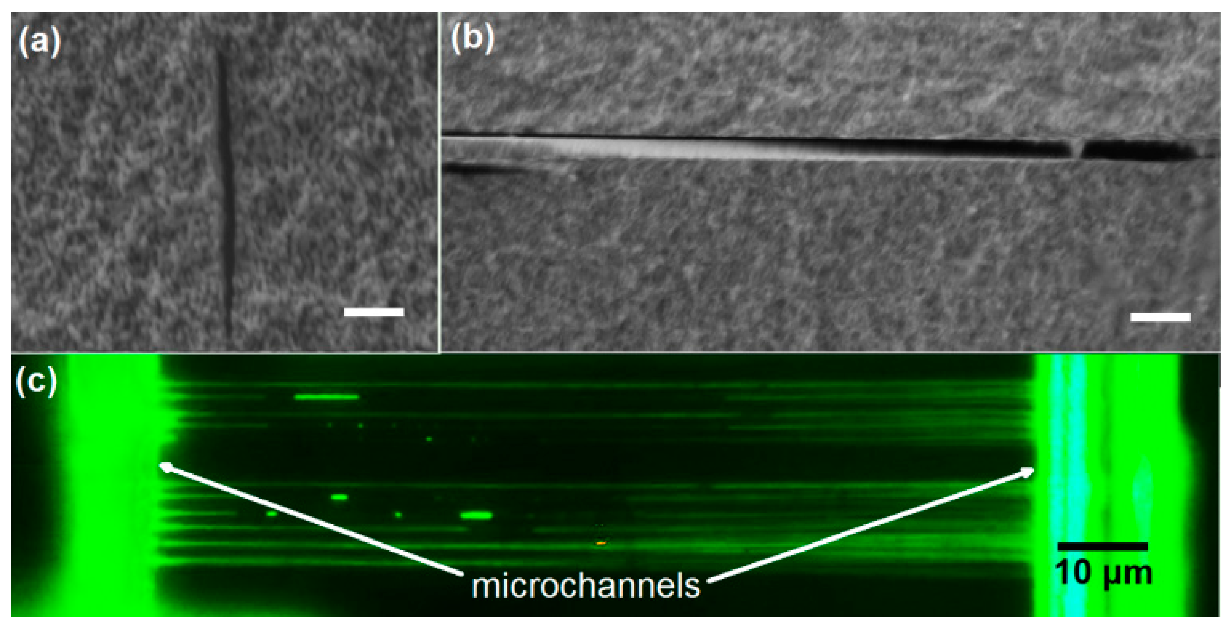 Micromachines 08 00059 g009