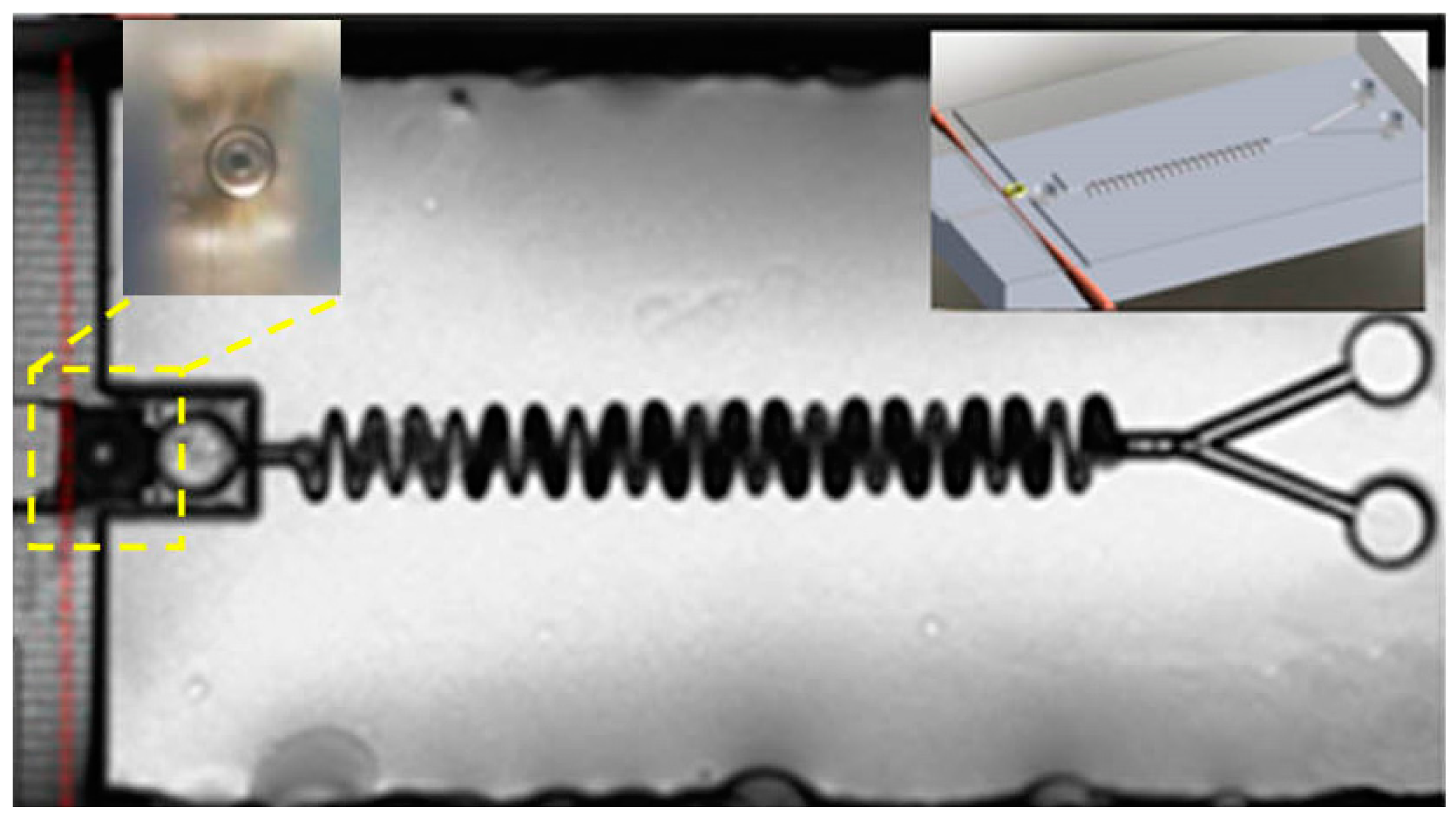 Micromachines 08 00059 g012
