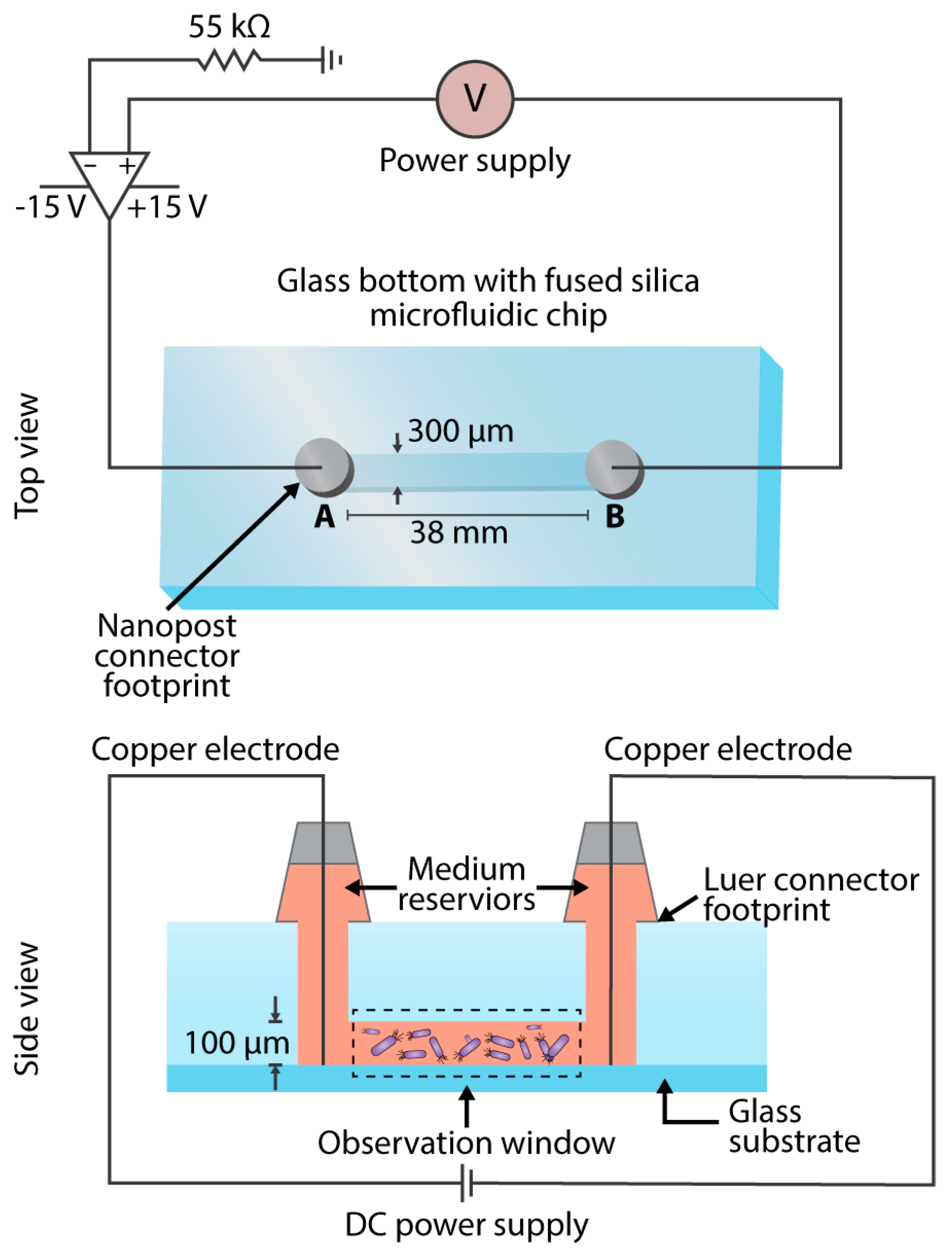 Micromachines 08 00207 g001