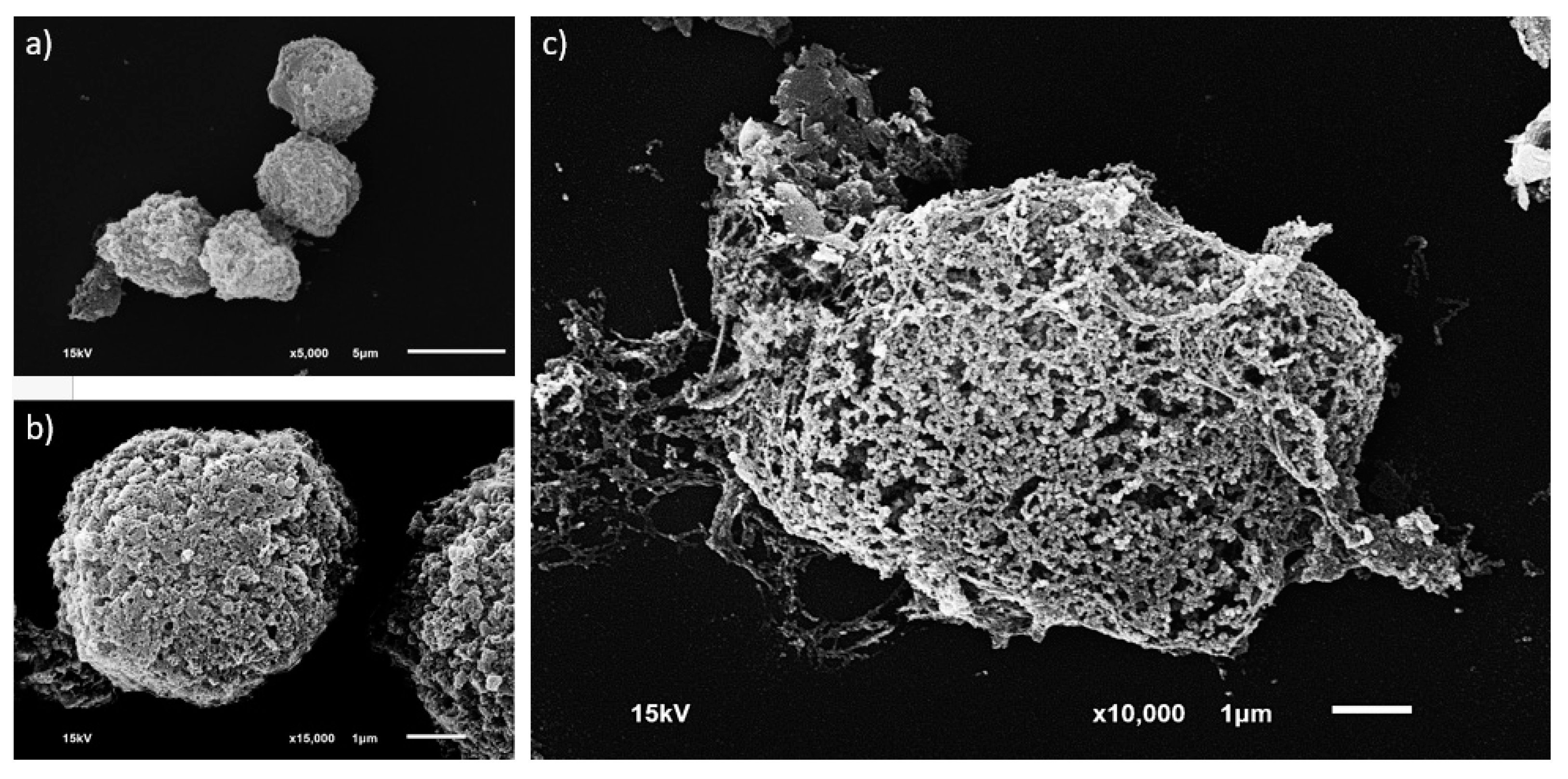 Micromachines 09 00009 g007