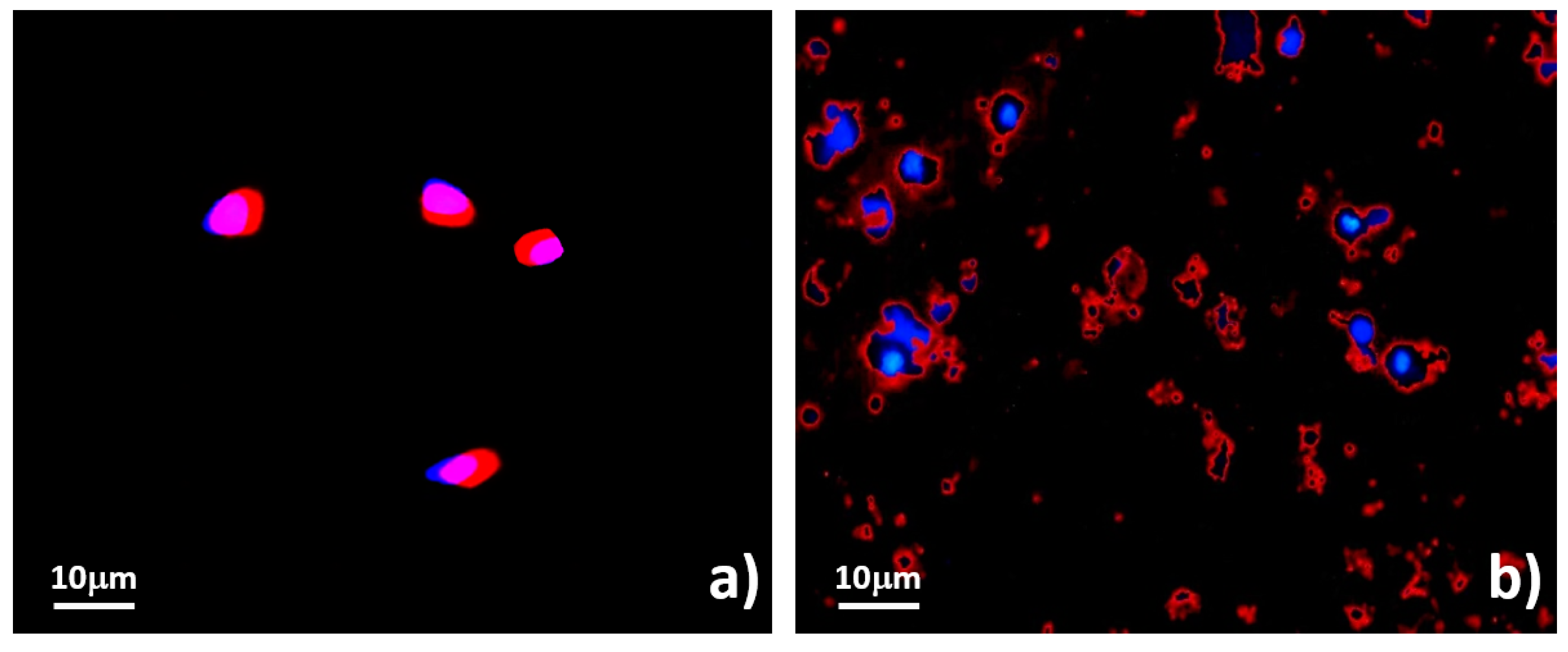 Micromachines 09 00009 g009