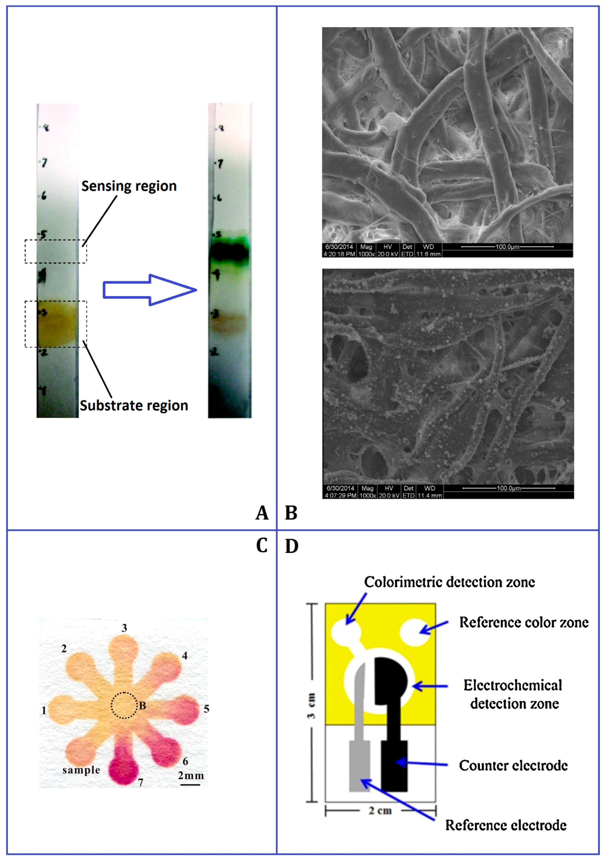 detection of pesticides in foods using chemiluminescence Cyromazine(cyr) was determined in milk samples using copper(iii) and a number of pesticides were examined as potential interferences. detection of pesticides in foods using chemiluminescence Cyromazine(cyr) was determined in milk samples using copper(iii) and a number of pesticides were examined as potential interferences.